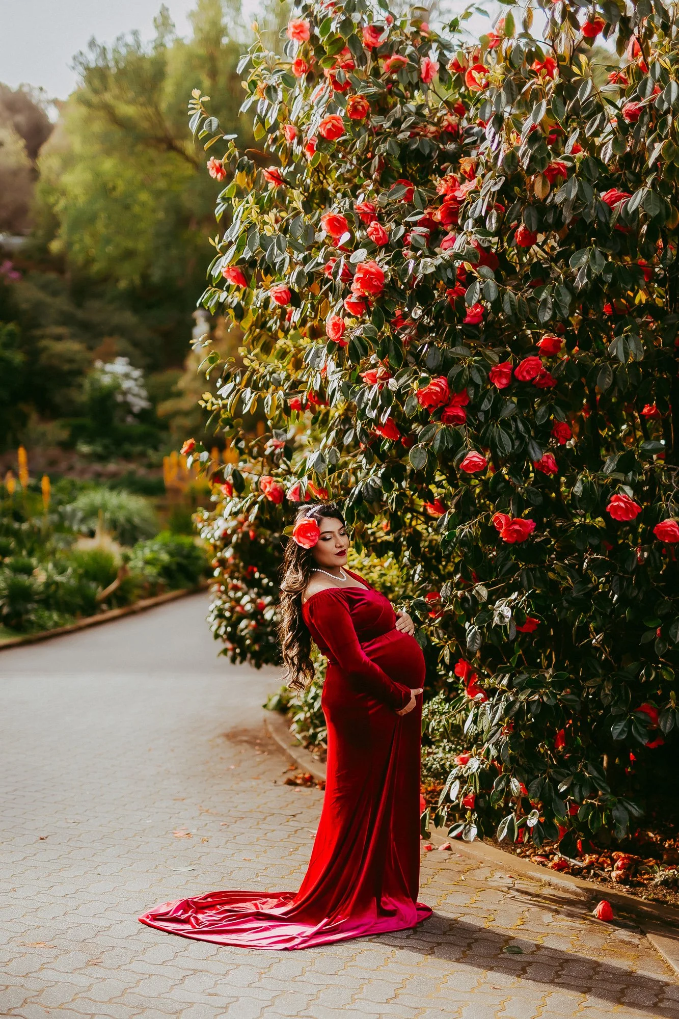 A pregnant woman in a long, elegant, red velvet gown stands on a paved path next to a large bush with red flowers. She has dark, wavy hair, is wearing makeup and jewelry, and looks at her belly while holding it.