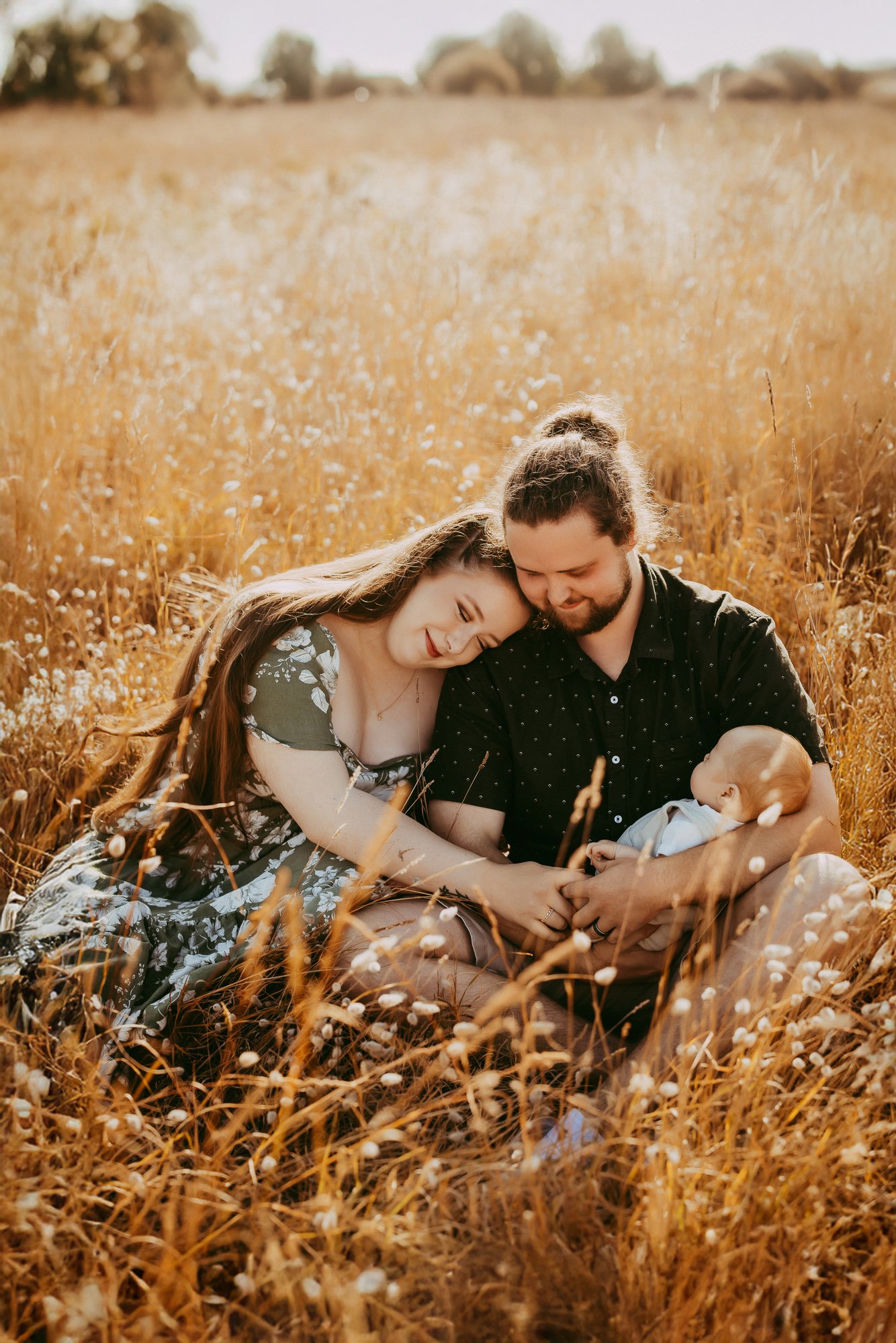 A family of three sitting in a golden field, with the mother and father holding their baby and touching hands, all sharing a tender moment. South Arm Tasmania  budget friendly family photography session.