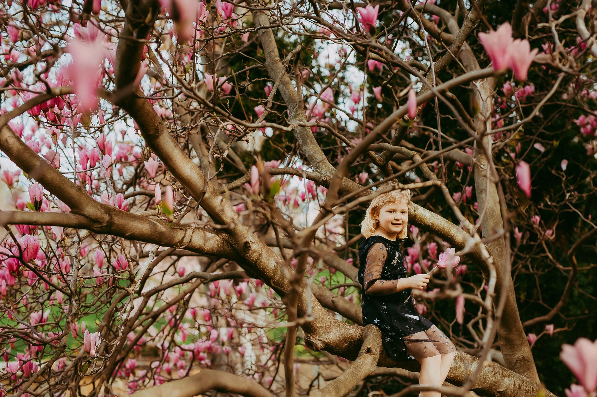 A young girl with blonde hair sitting on a tree branch surrounded by pink magnolia blossoms.