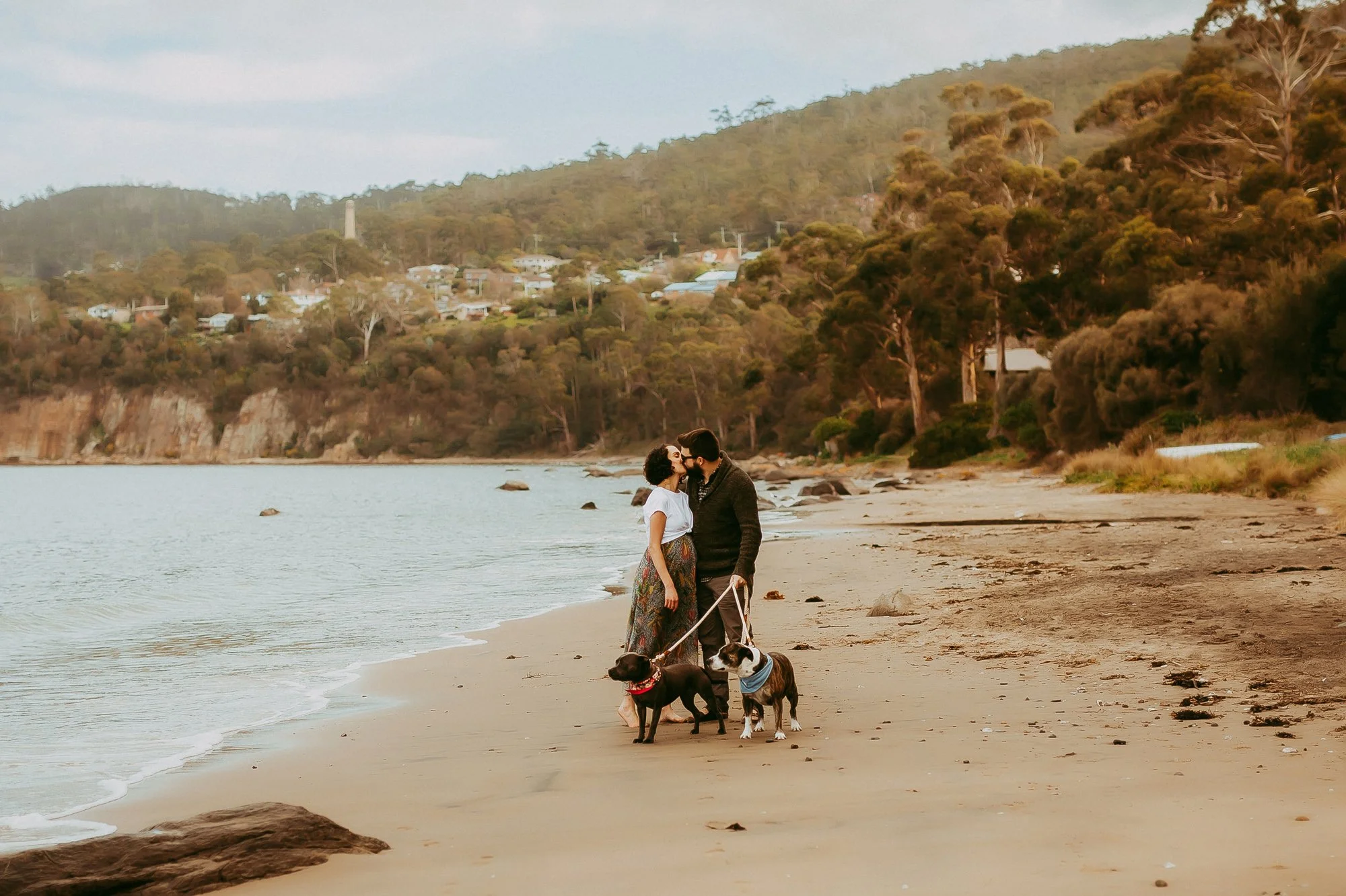 A couple kissing on the beach with two dogs, with houses and hills in the background during sunset. Hobart area golden hour family photoshoot.