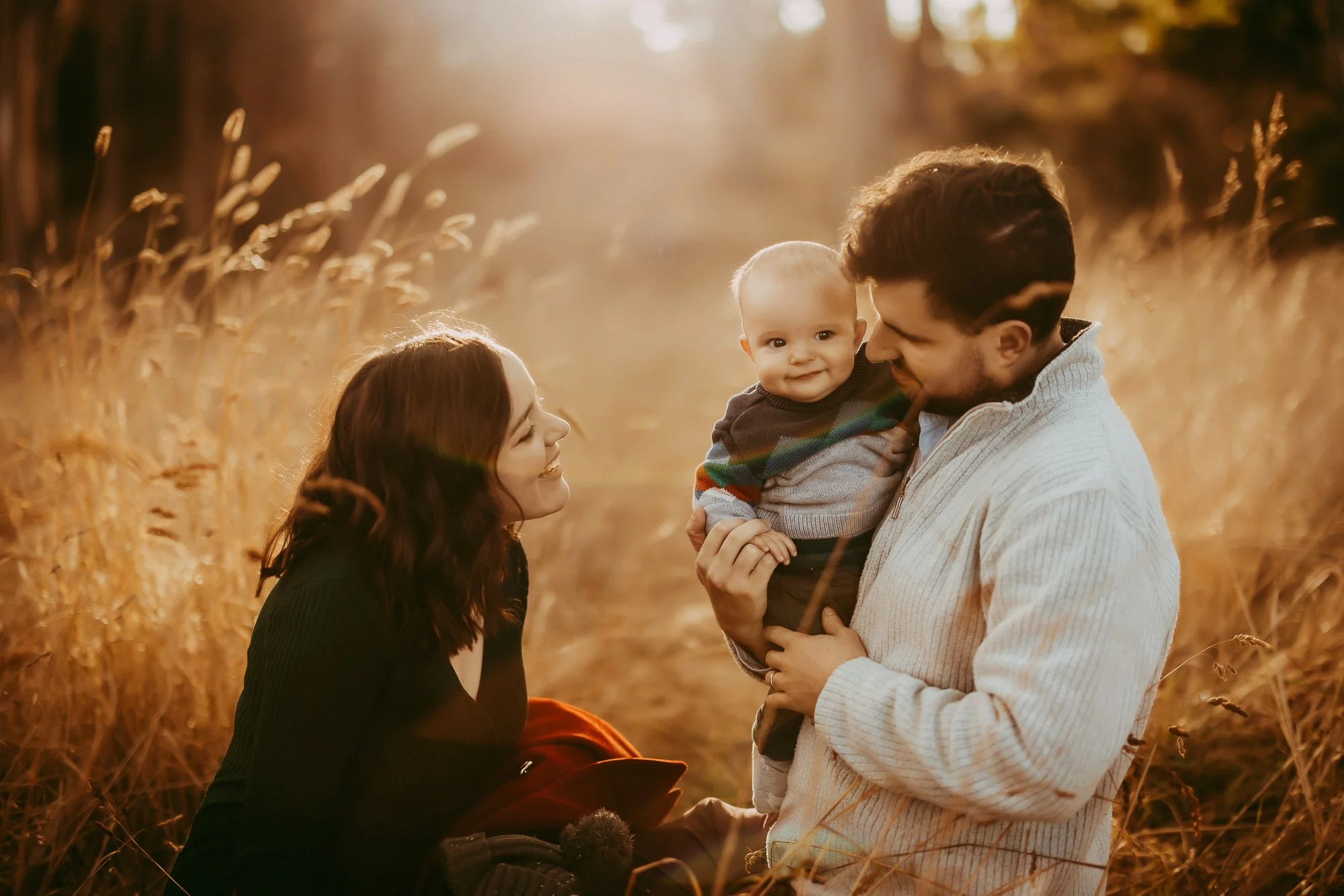 A family of three enjoying a golden hour moment outdoors in a field of tall, dry grass. The mother and father are smiling at their baby, who is being held by the father, with warm sunlight in the background. Affordable family photosession.