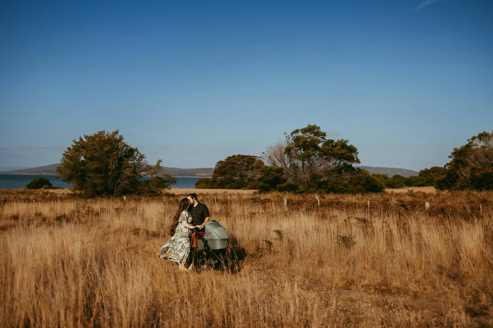 Couple kisses in a field with dry grass, trees, and a distant body of water under a clear blue sky. Stunning Tasmanian family photography session at golden hour.