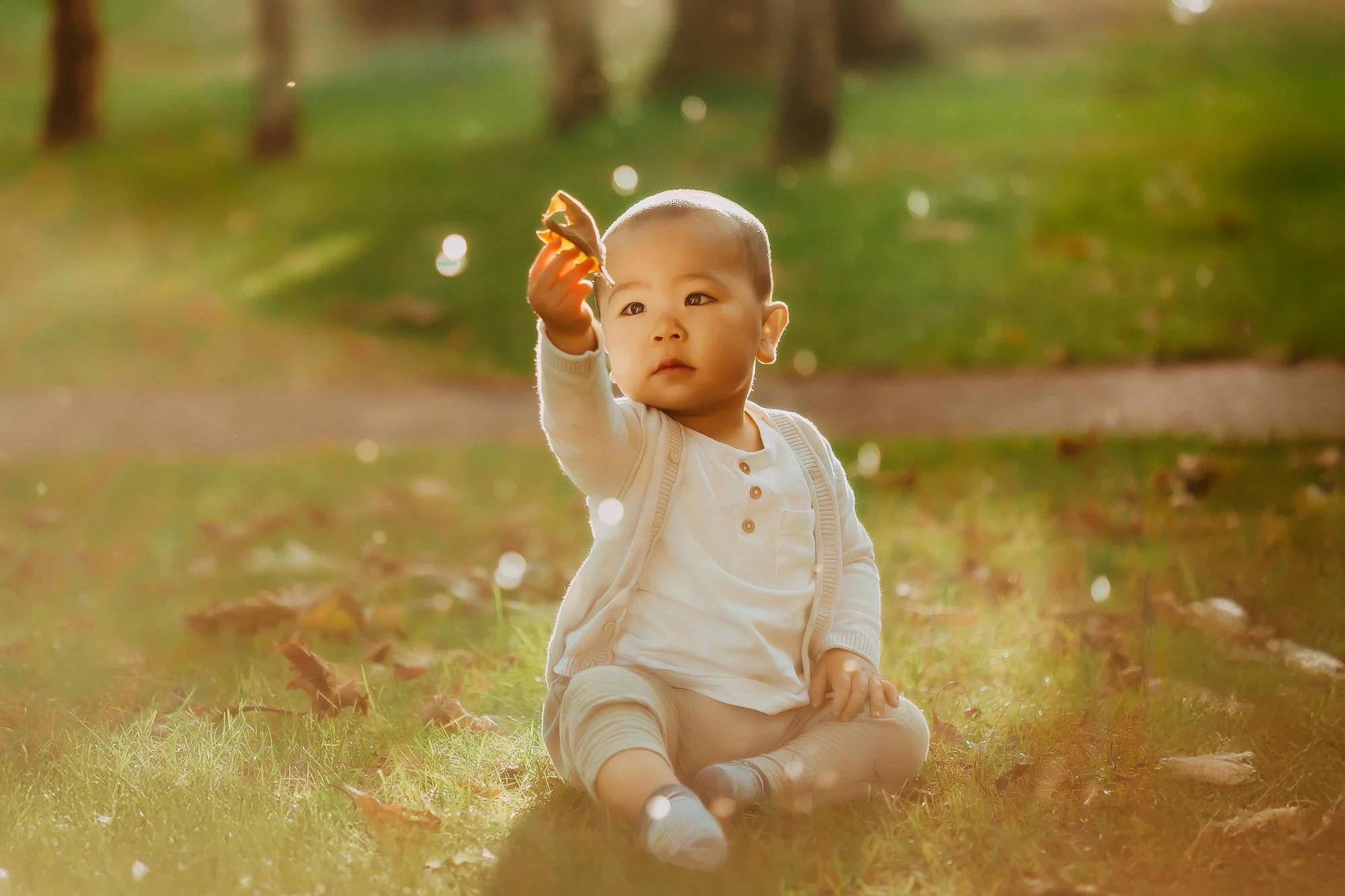 A young child sits on grass during autumn, holding a leaf, surrounded by fallen leaves with sunlight filtering through trees in the background. Affordable Greater Hobart family photosession.