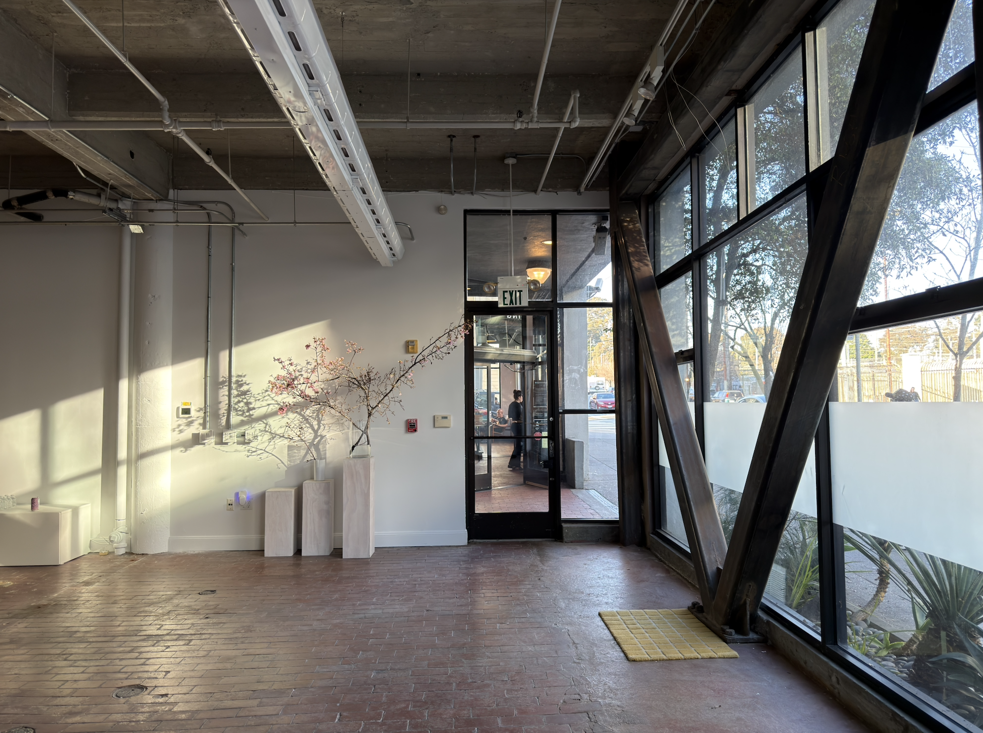 Empty interior space with a brick floor, white wall with potted plants, large glass windows, and a glass door leading outside. Sunlight casting shadows on the wall.