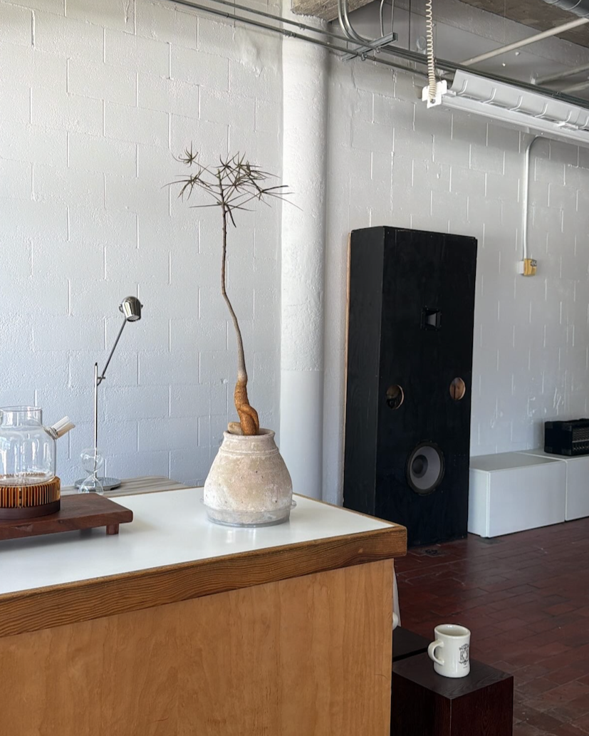 Open Studio