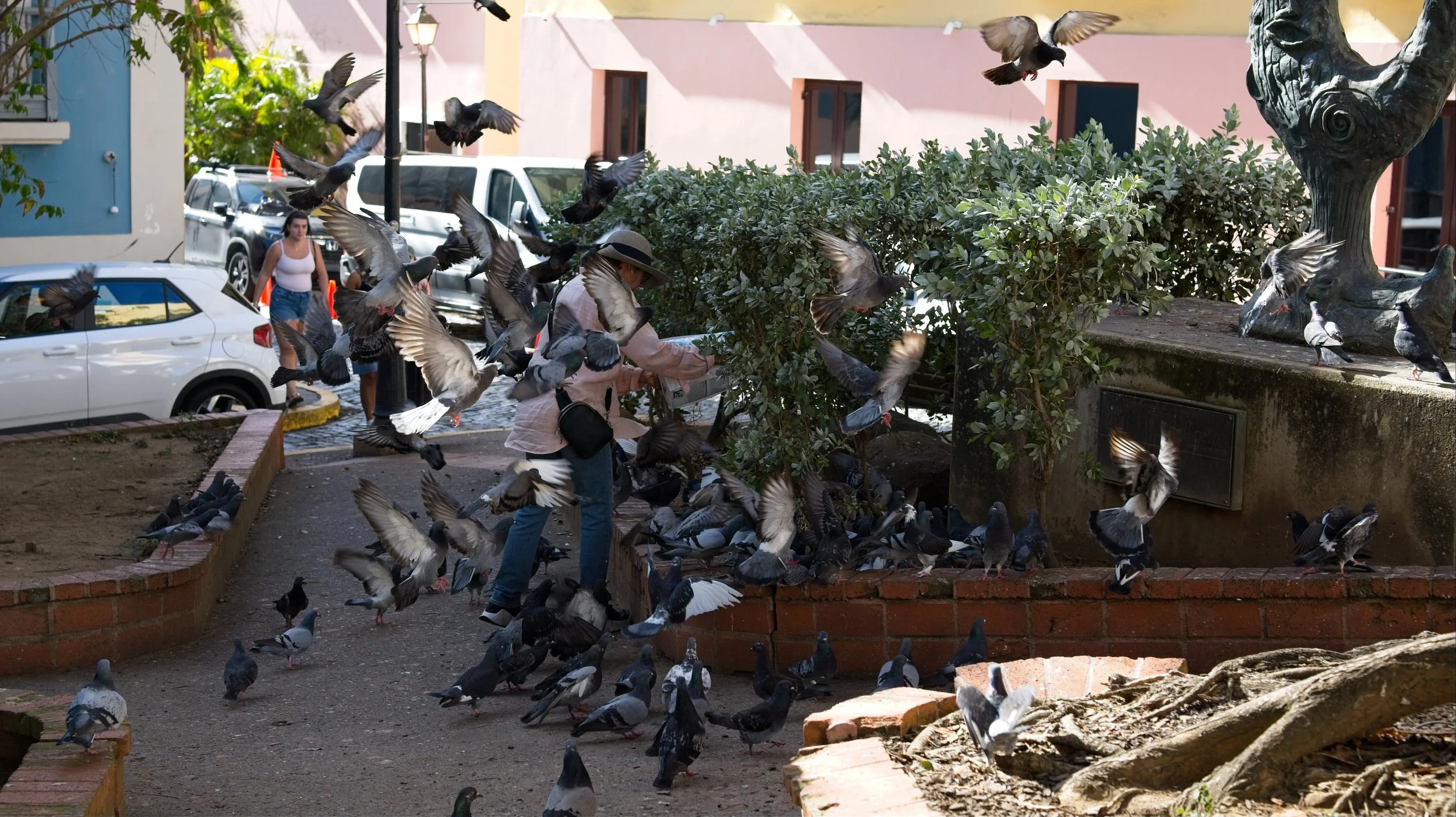 women feeding pigeons san juan puerto rico.jpg