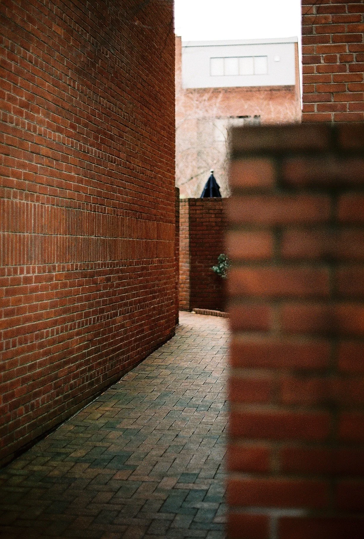 Walls. Philadelphia.