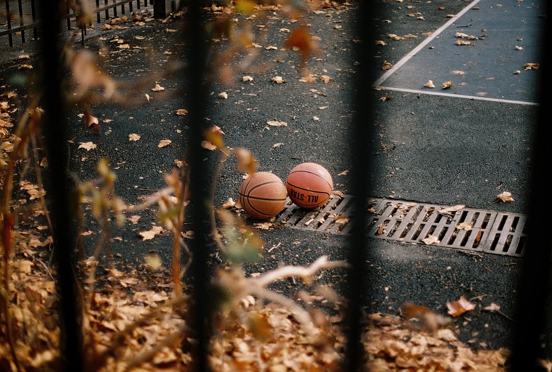 basketballs philadelphia film.jpg