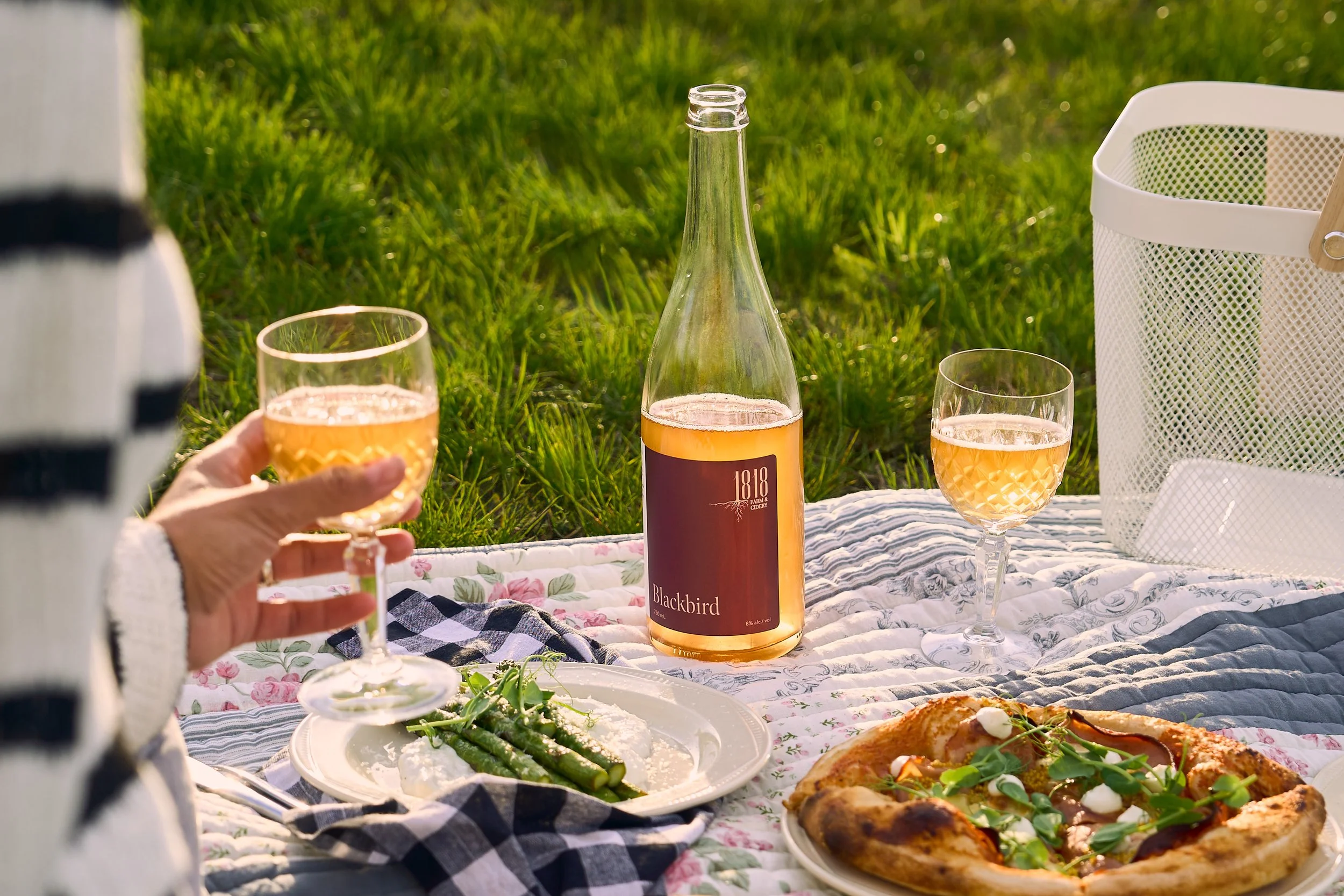 A picnic at 1818 Farm and Cidery with a bottle of Blackbird cider, a plate of asparagus with dip, and a partially eaten pizza on a blanket outdoors on green grass. Photo by Ottawa Photographer Sarah Farmer of Gumption Studio.
