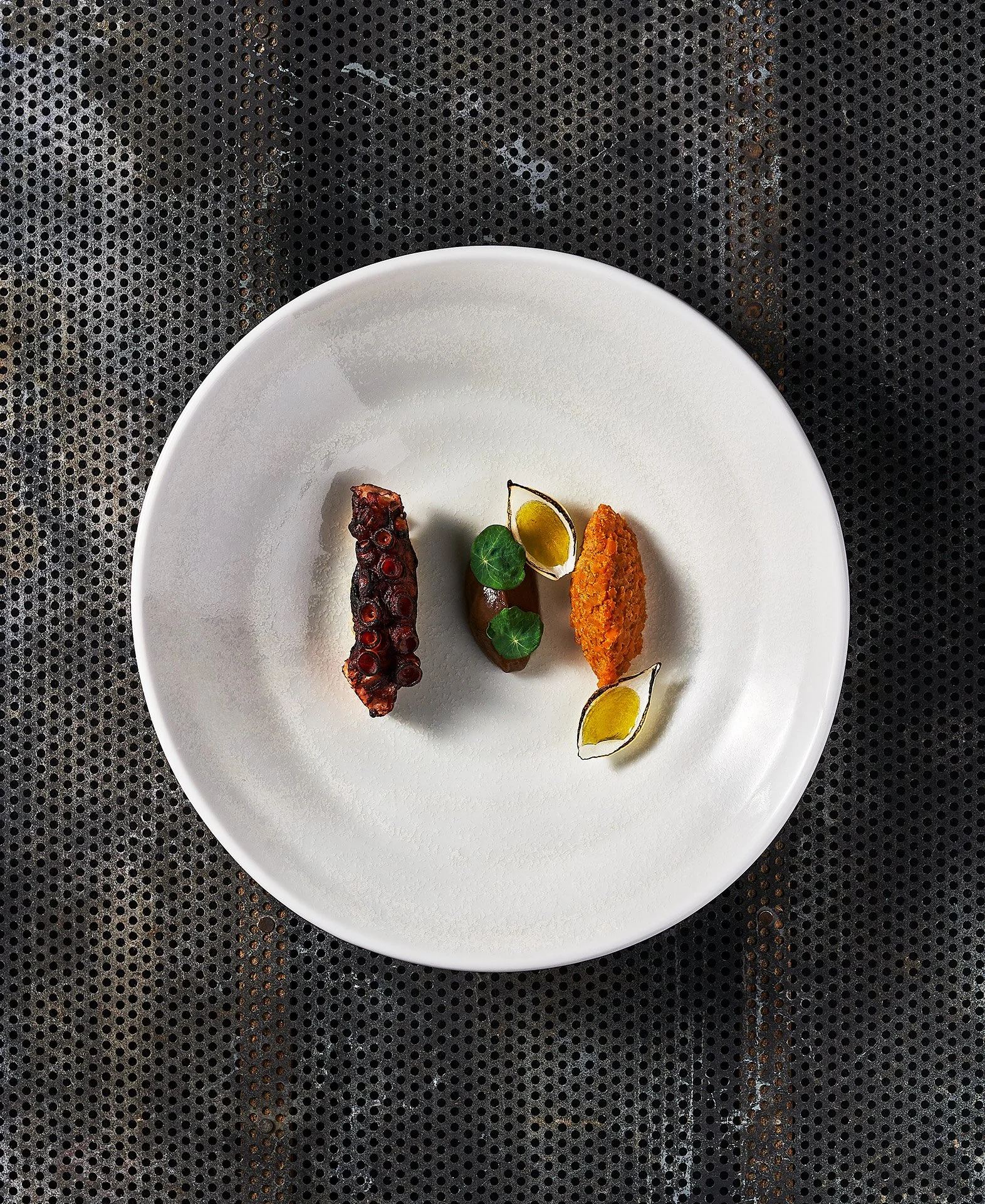 Octopus and Onion dish,  all on a dark, perforated surface. Photographed for the Perch Cookbook by Gumption Studio, Ottawa Cookbook photographer.