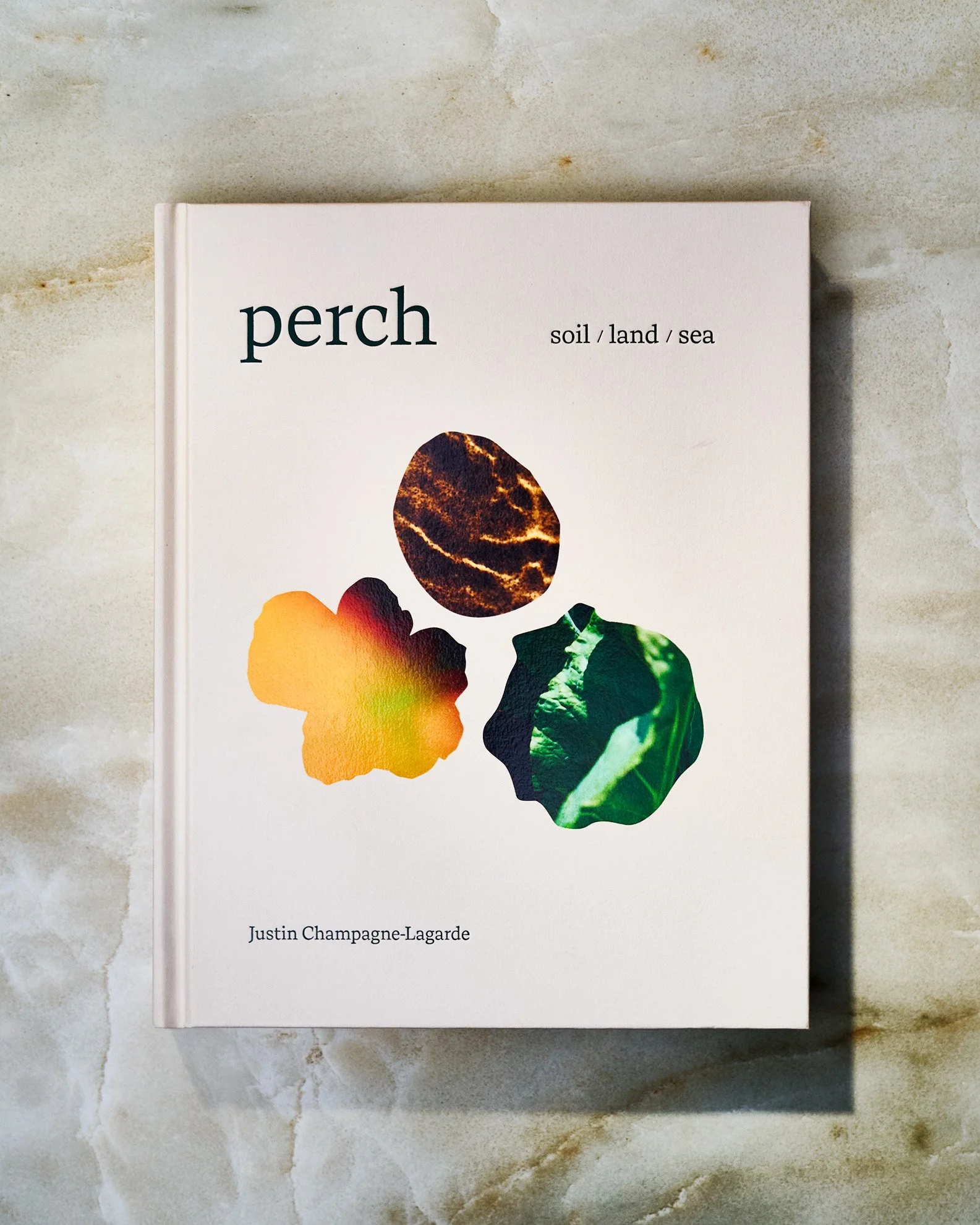 A book titled 'perch' by Justin Champagne-Lagarde, featuring colorful abstract leaf shapes on the cover, placed on a light, textured surface.