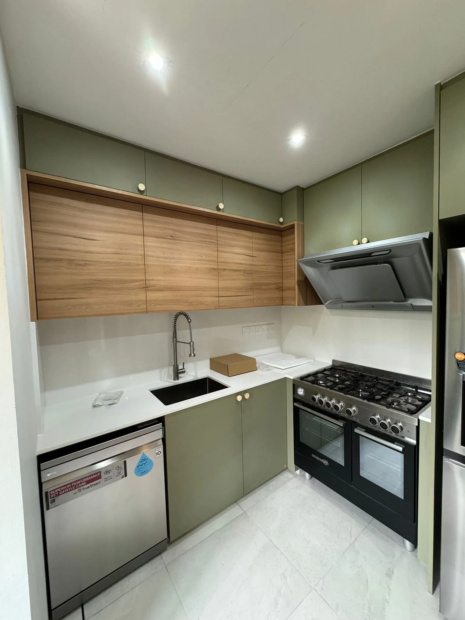 Other Housing Projects