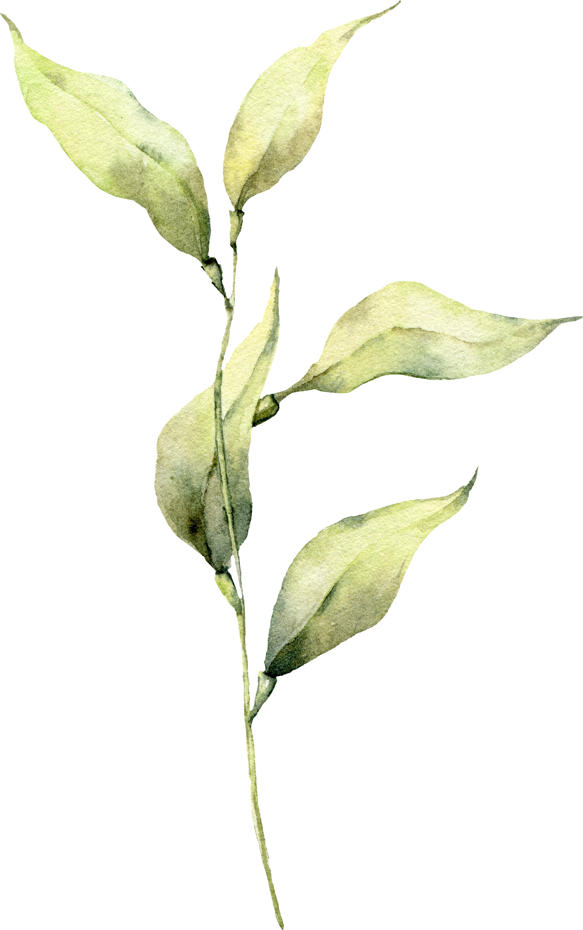 Painted green stem and leaves