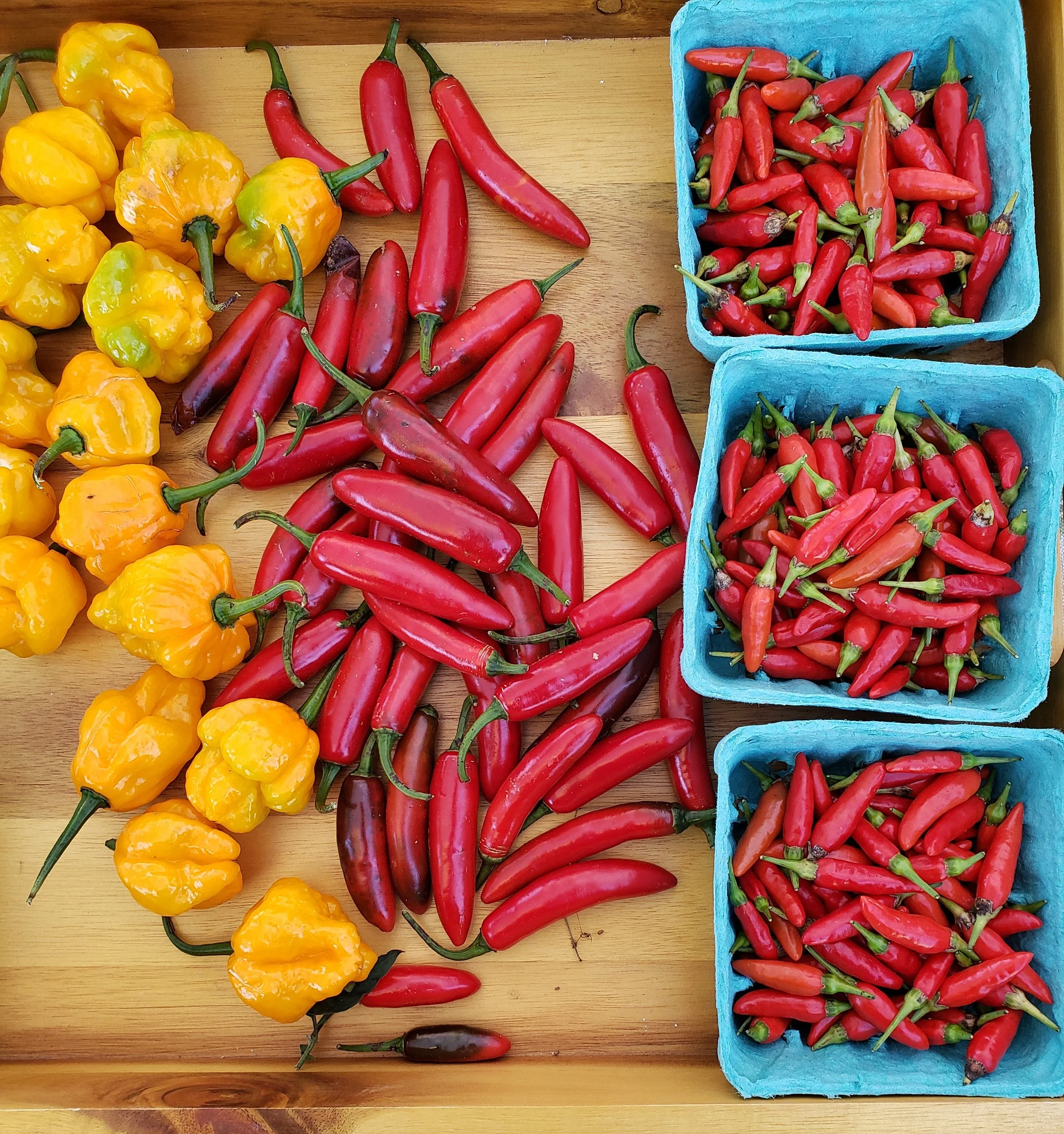 Hammond Farmers Market