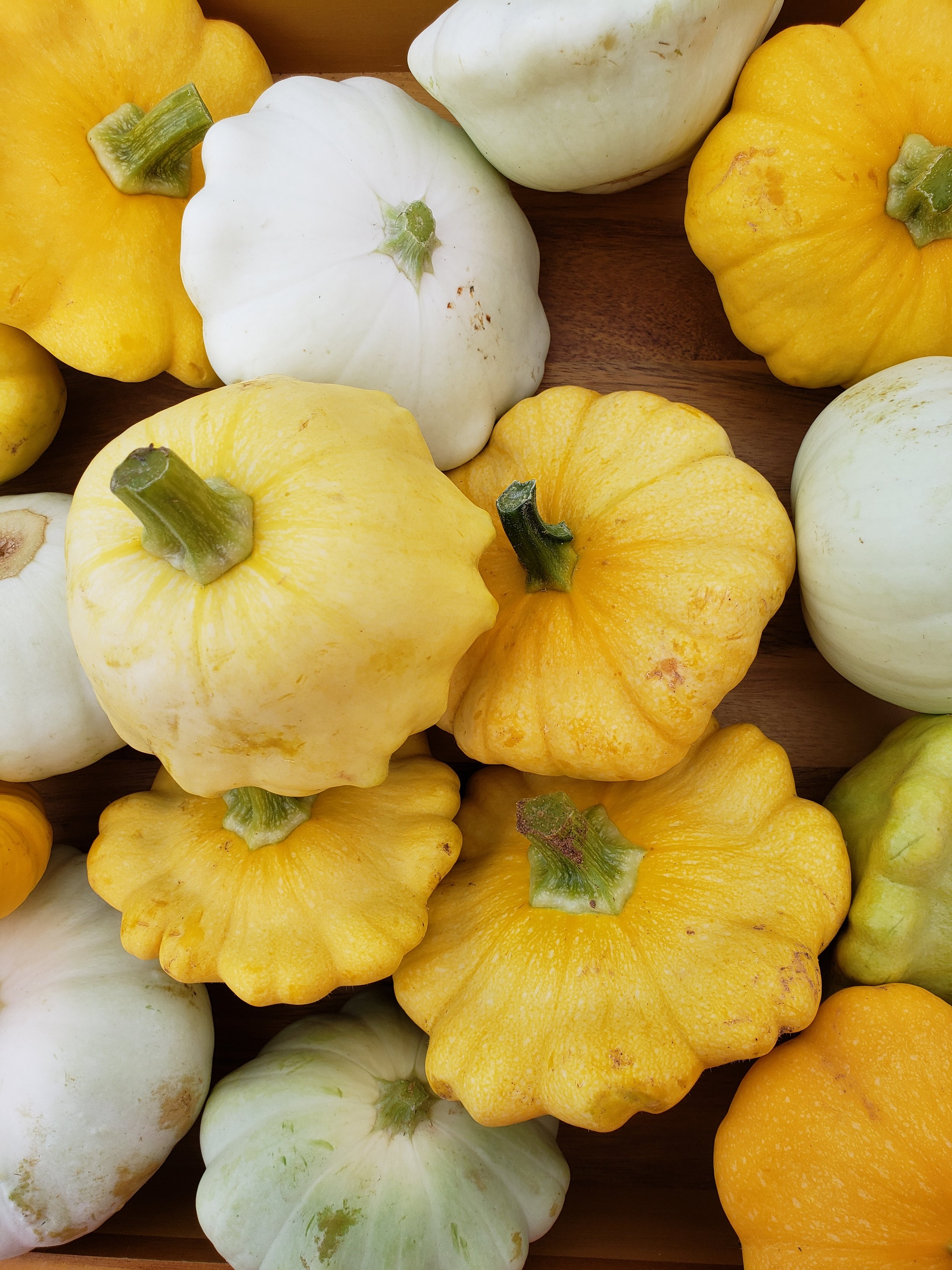 Summer Squash &amp; Ricotta Bruschetta