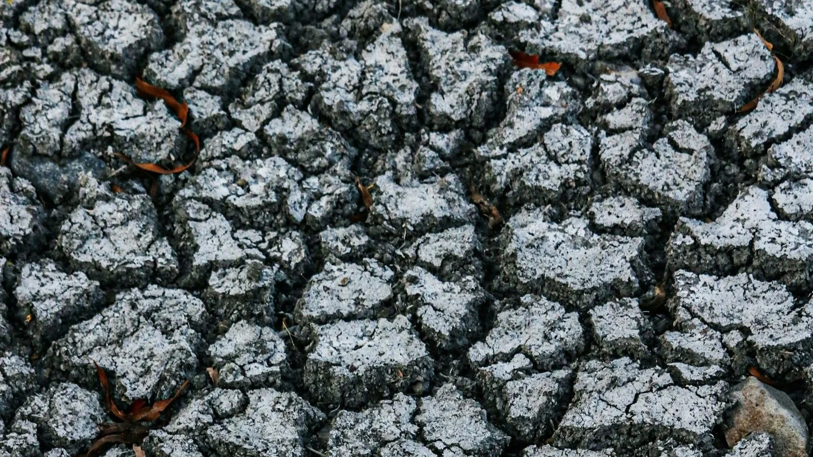 The Desert “Down There”