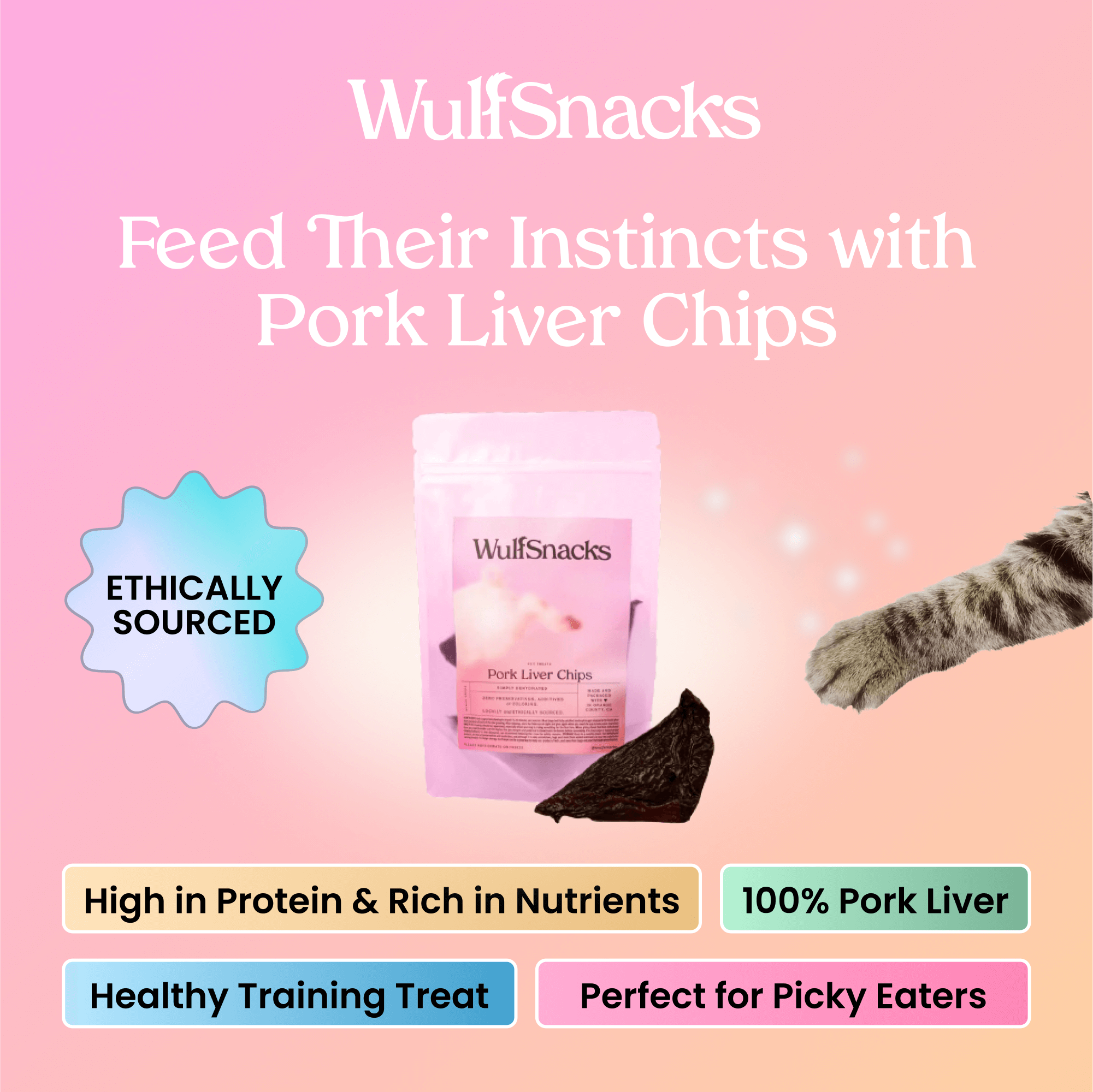 Pork Liver Chips 1a.png