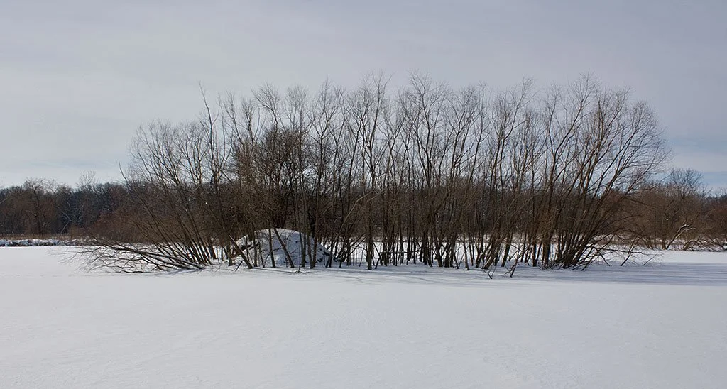 Family hike at McKee Marsh