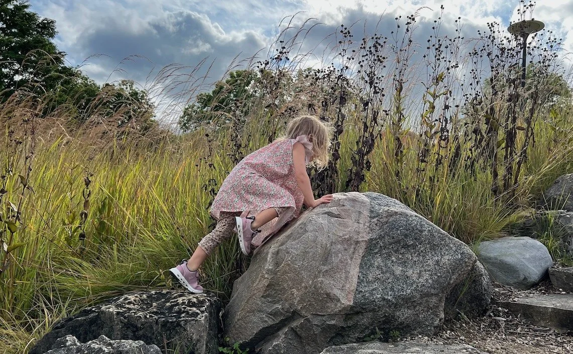 Nature Study Camp — Valor Student