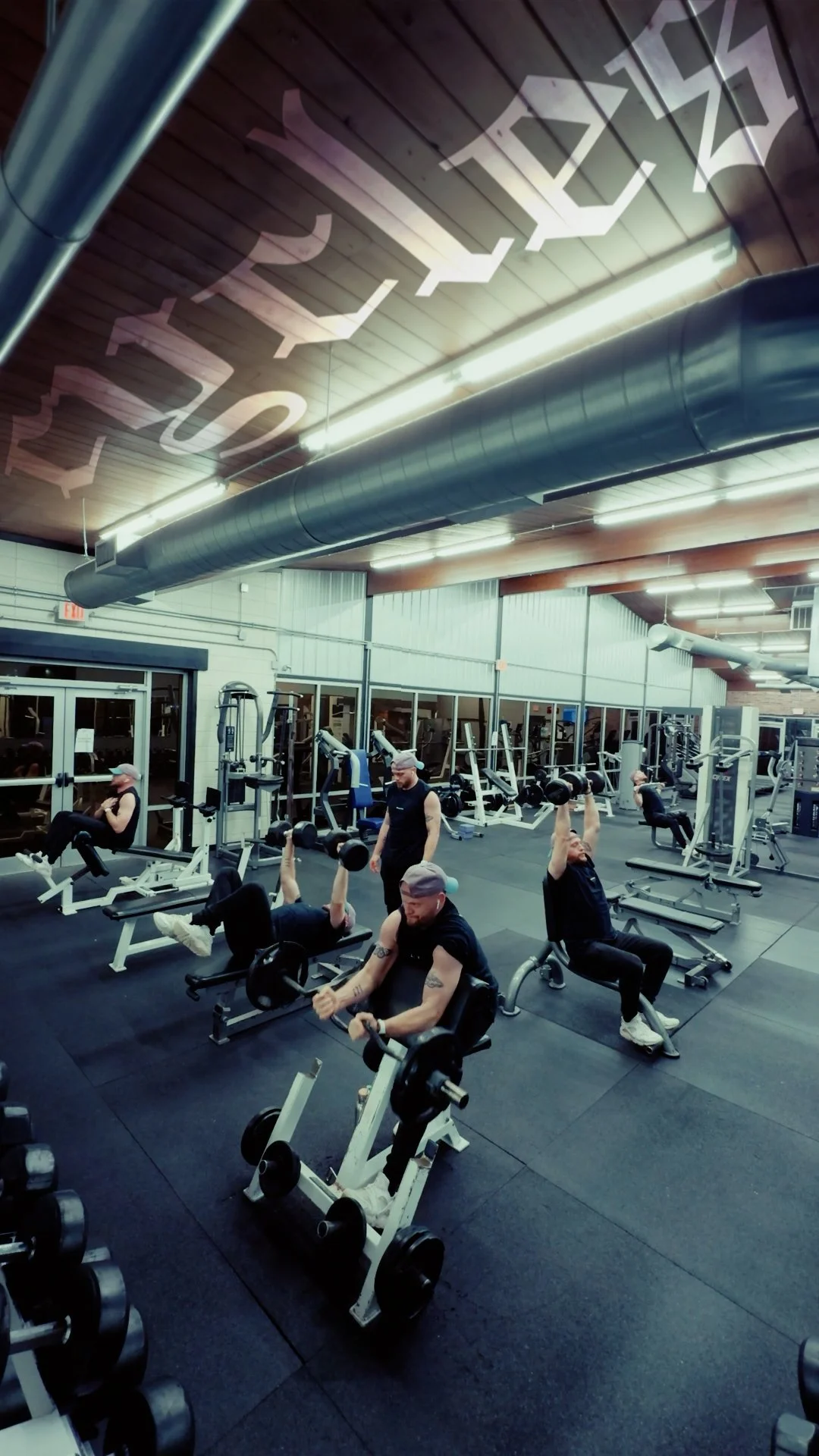 GymVideo_V3_AUDIO.00_00_17_06.Still003.jpg