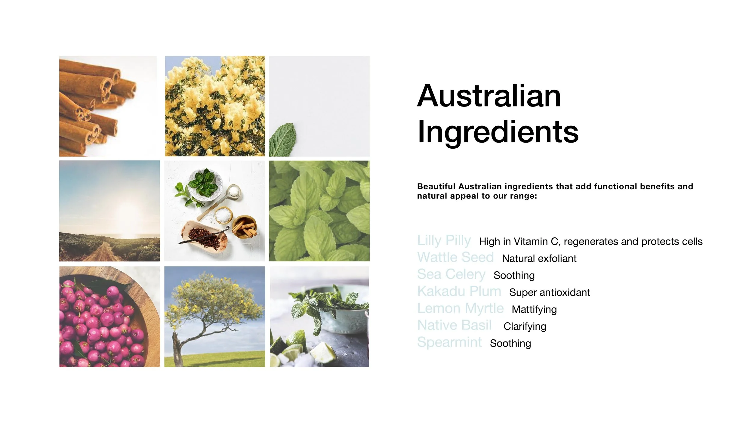 SEA- BRANDBOOK_FINAL_V3-05.jpg