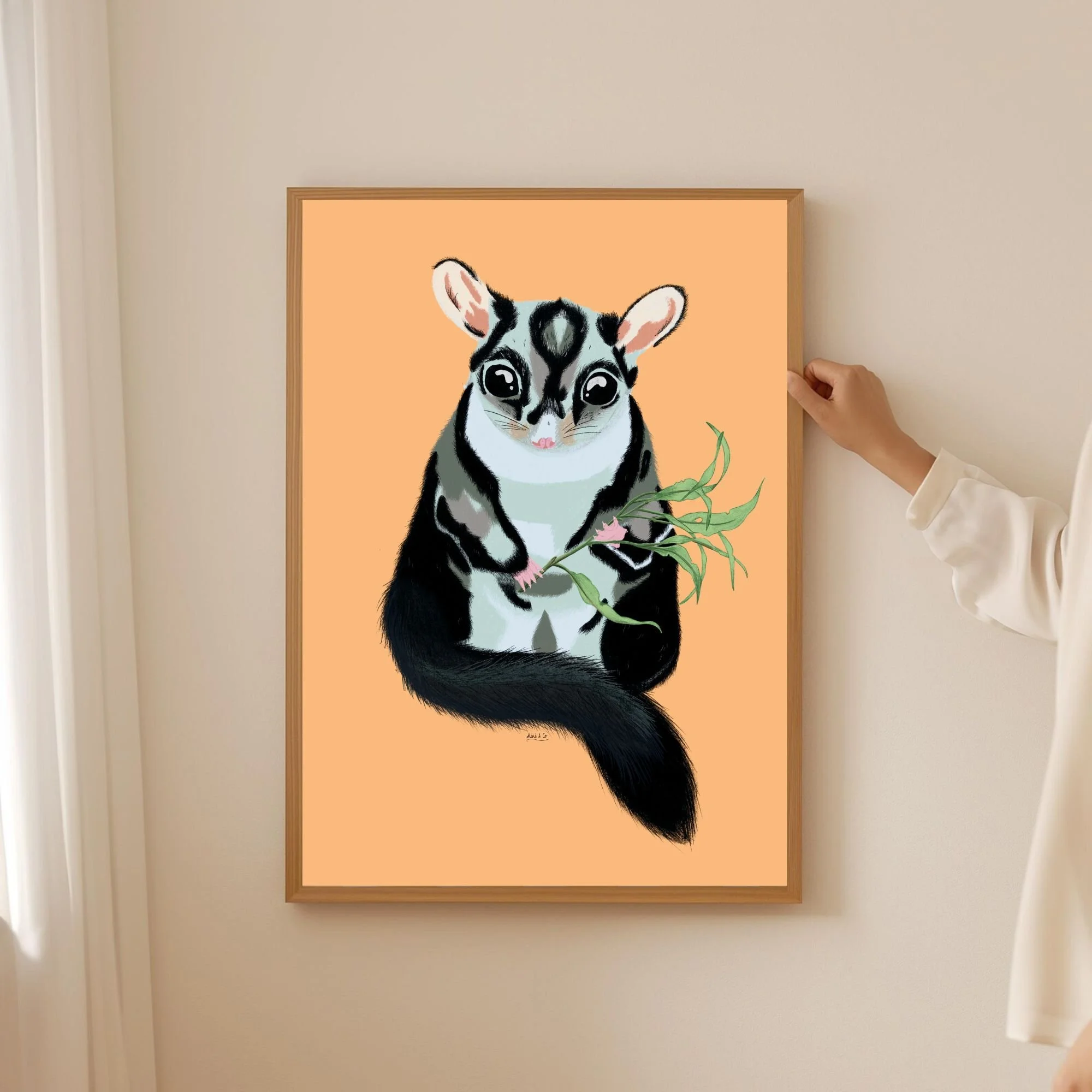 Sugar Glider - Wall Print