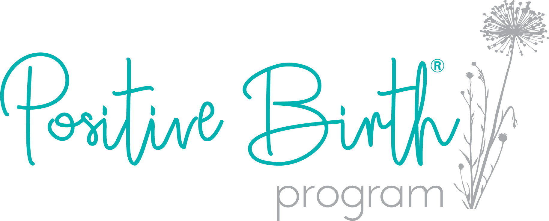 What Is The Positive Birth Program?