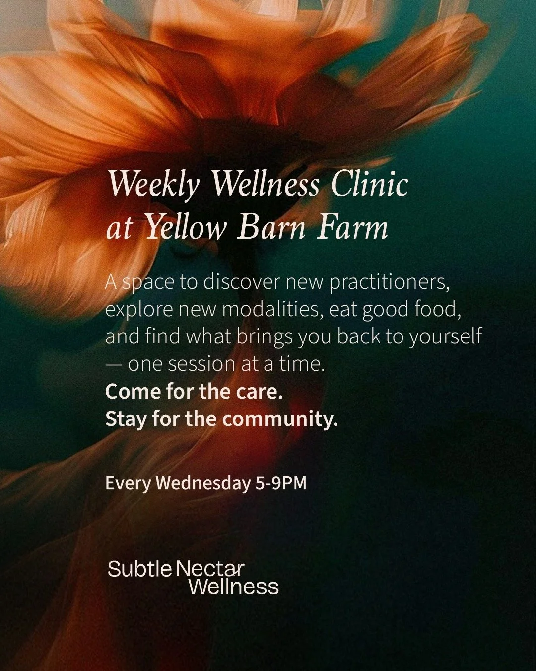 Every Wednesday at Yellow Barn Farm something quietly extraordinary happens.

People walk in carrying the weight of their week &mdash; stress, tension, disconnection &mdash; and they leave different. Not because anything magical happened. Because the