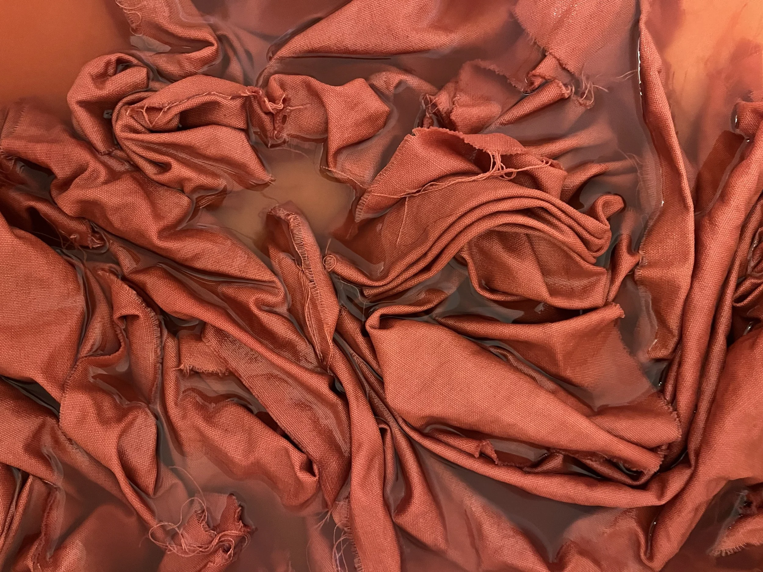 Intro to Natural Dyes Workshop