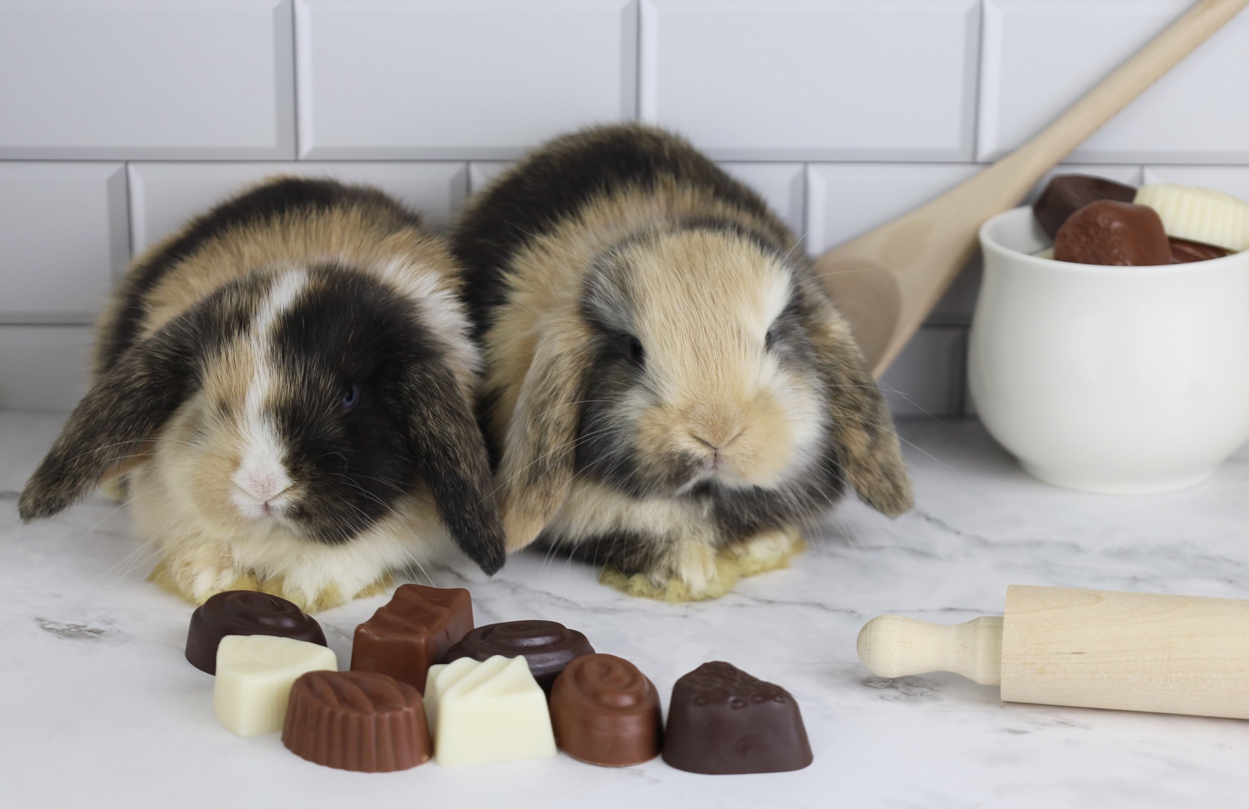 Some of our previous recipes!