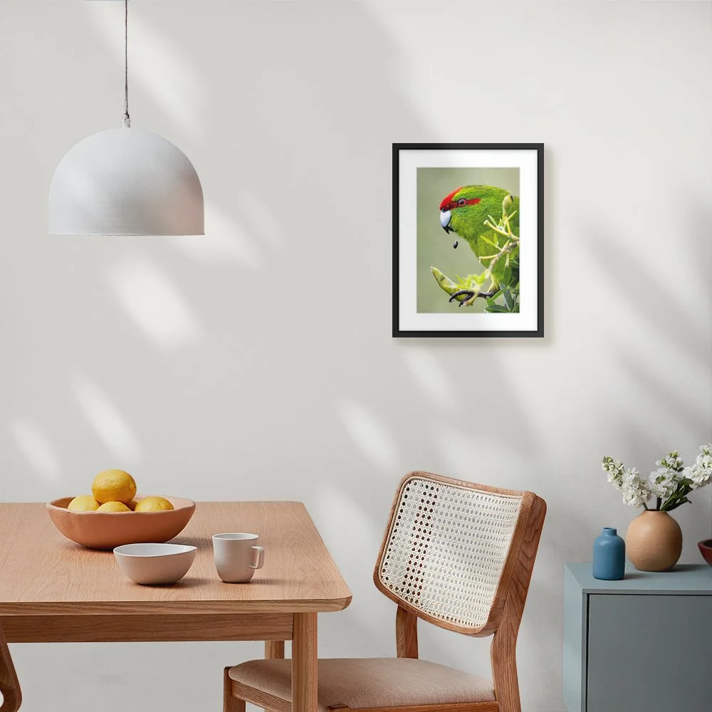 img_4081_297-x-420mm-a3_50mm_zeppelin-slim_interior-dining-room-ii.jpg