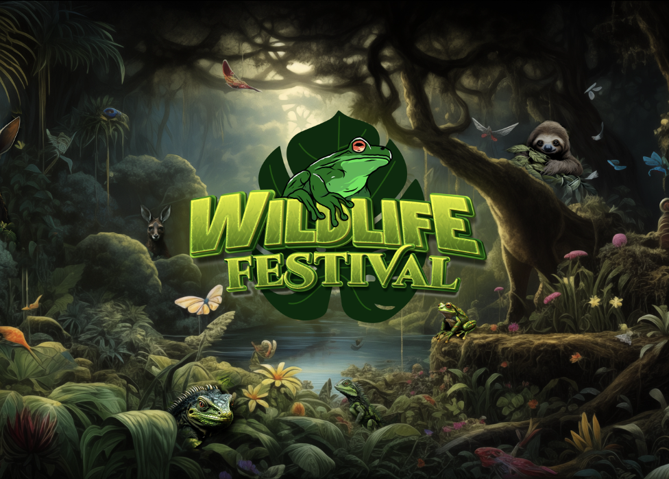 Colorful jungle scene with animals and insects surrounding a sign that reads 'Wildlife Festival', featuring a frog, sloth, butterflies, and other wildlife.