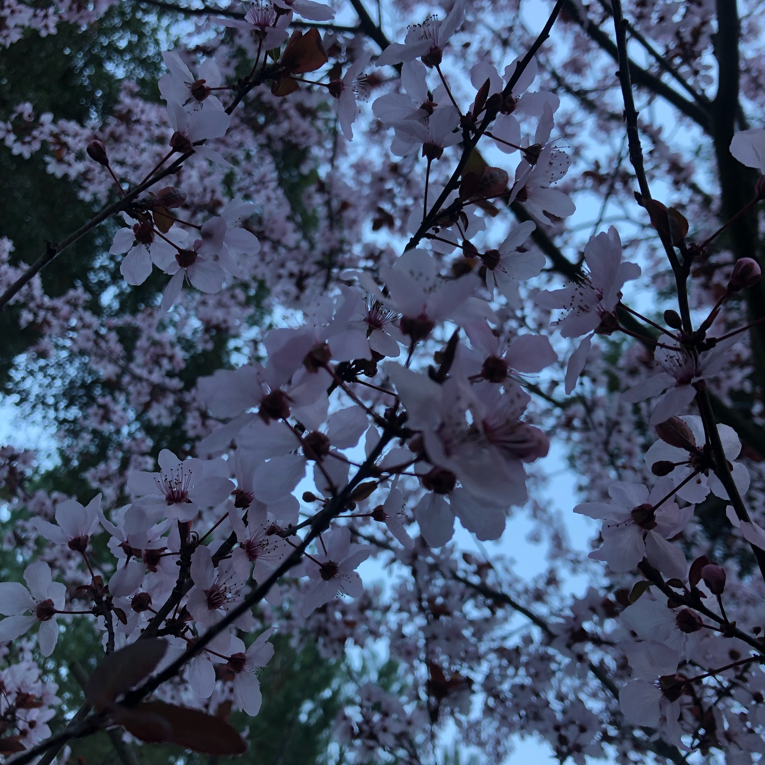 IMG_3918_Original.jpeg