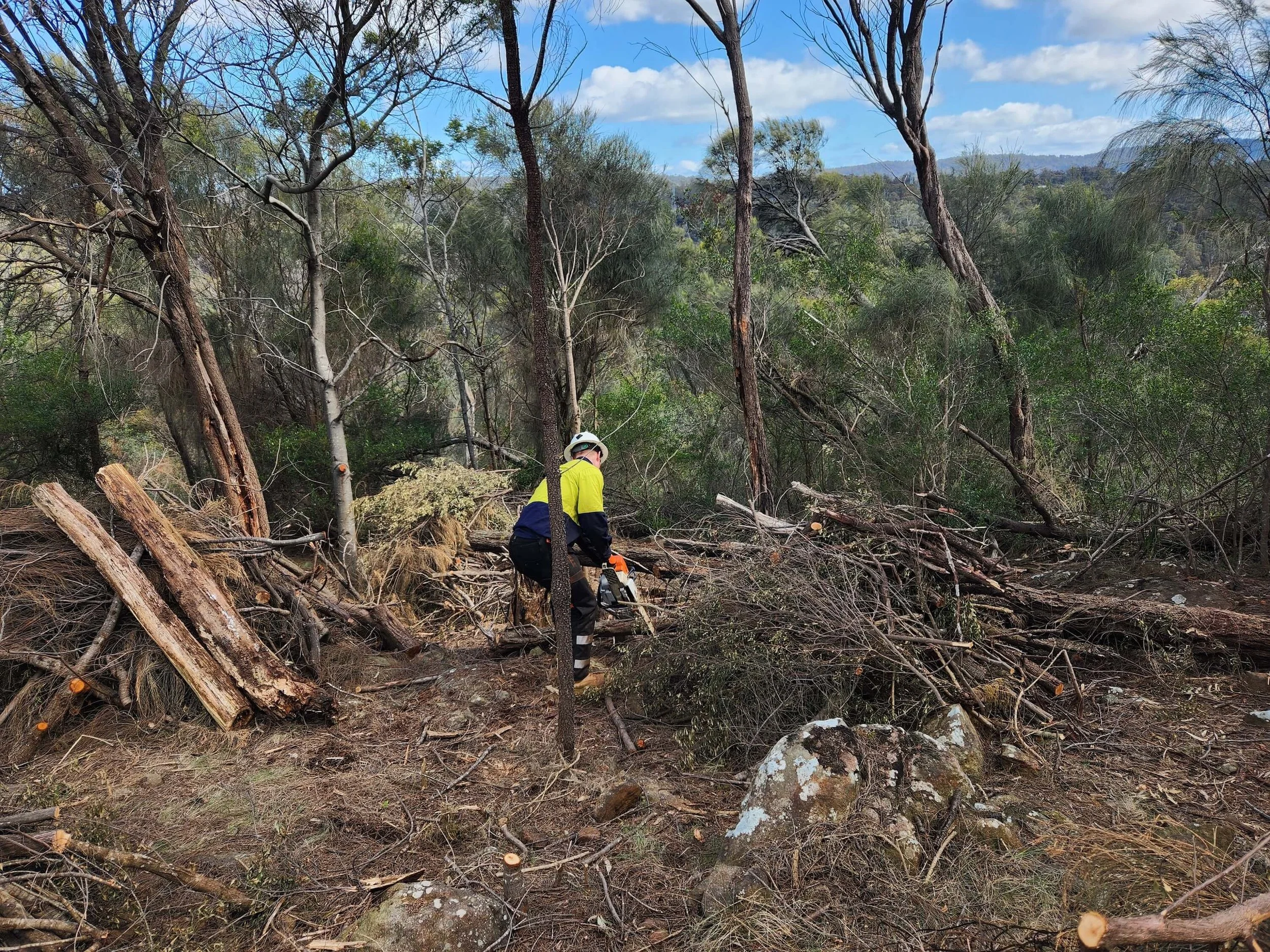 Vegetation Control | Fire Ready Services