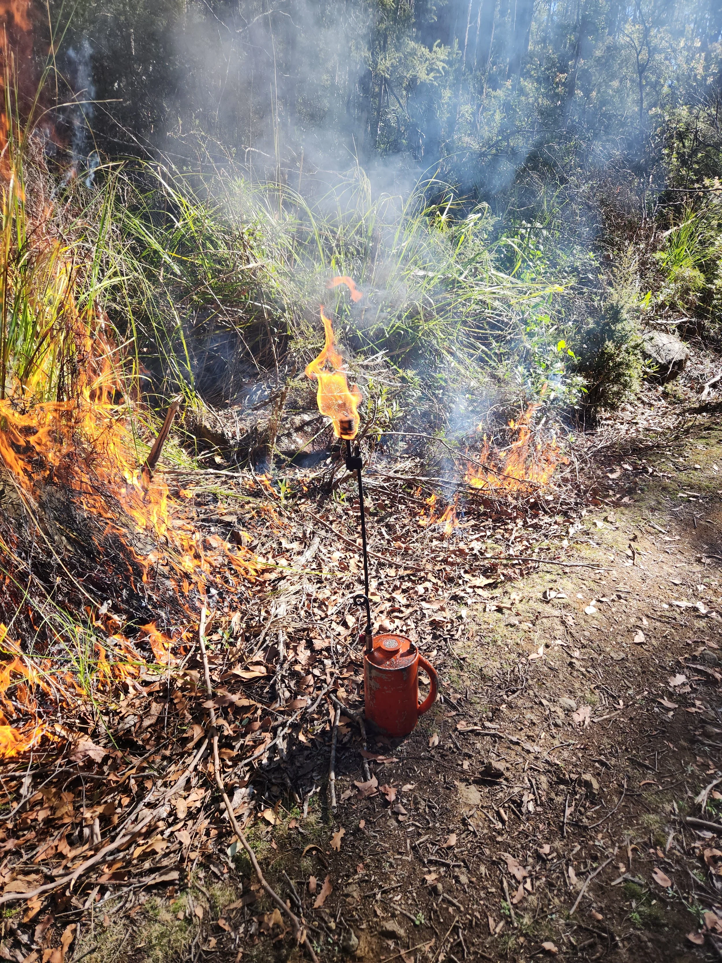 Vegetation Management | Fire Ready Services