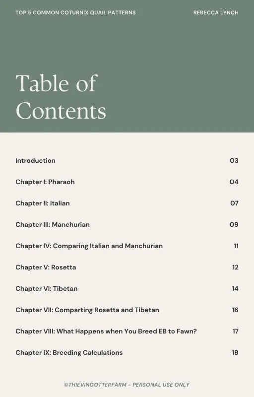 Table of Contents.jpg