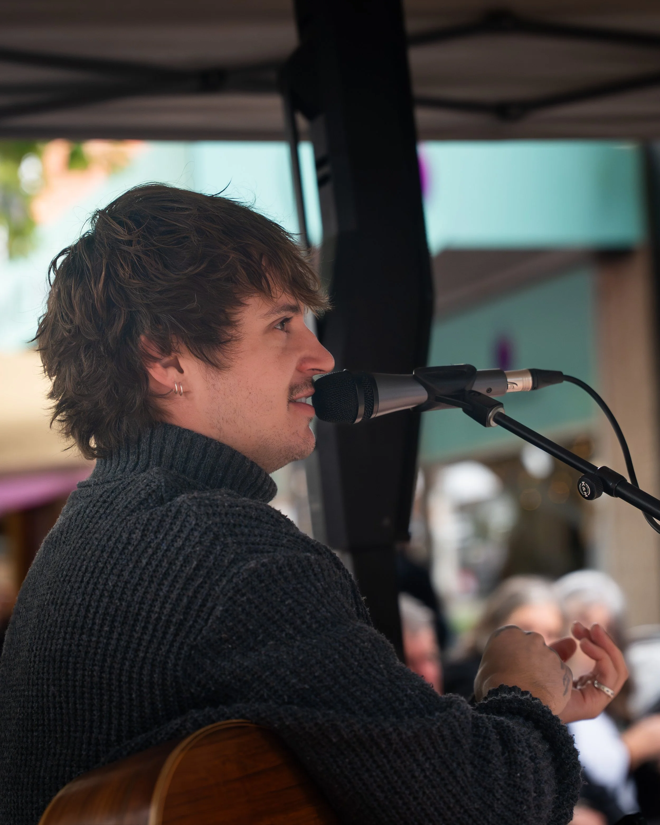 Healesville Festival- high res web-1.jpg