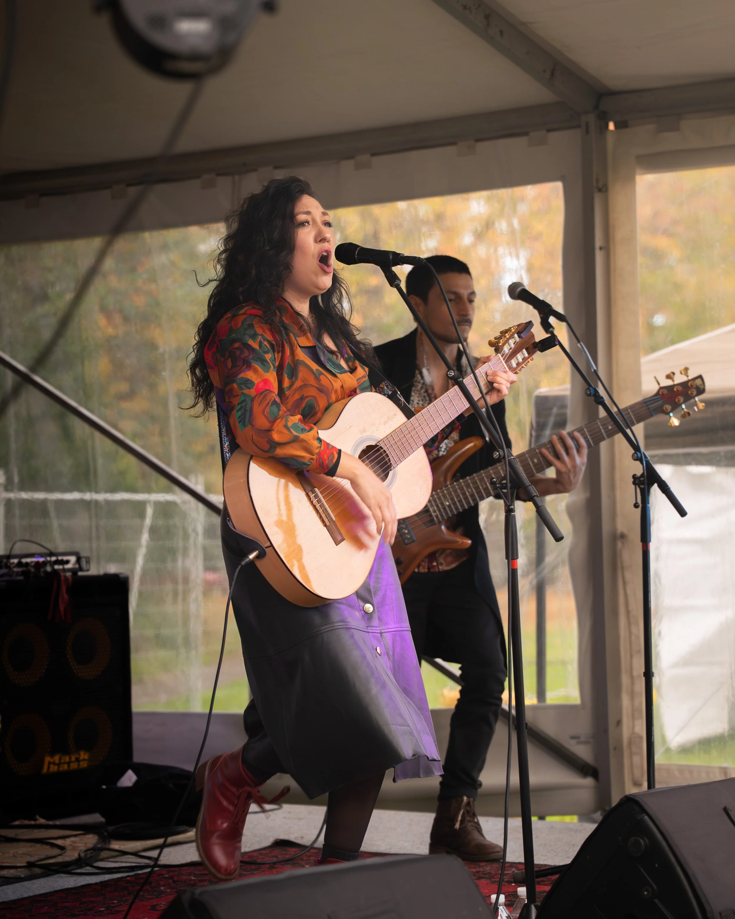 Healesville Festival day 2 - high res web-7.jpg