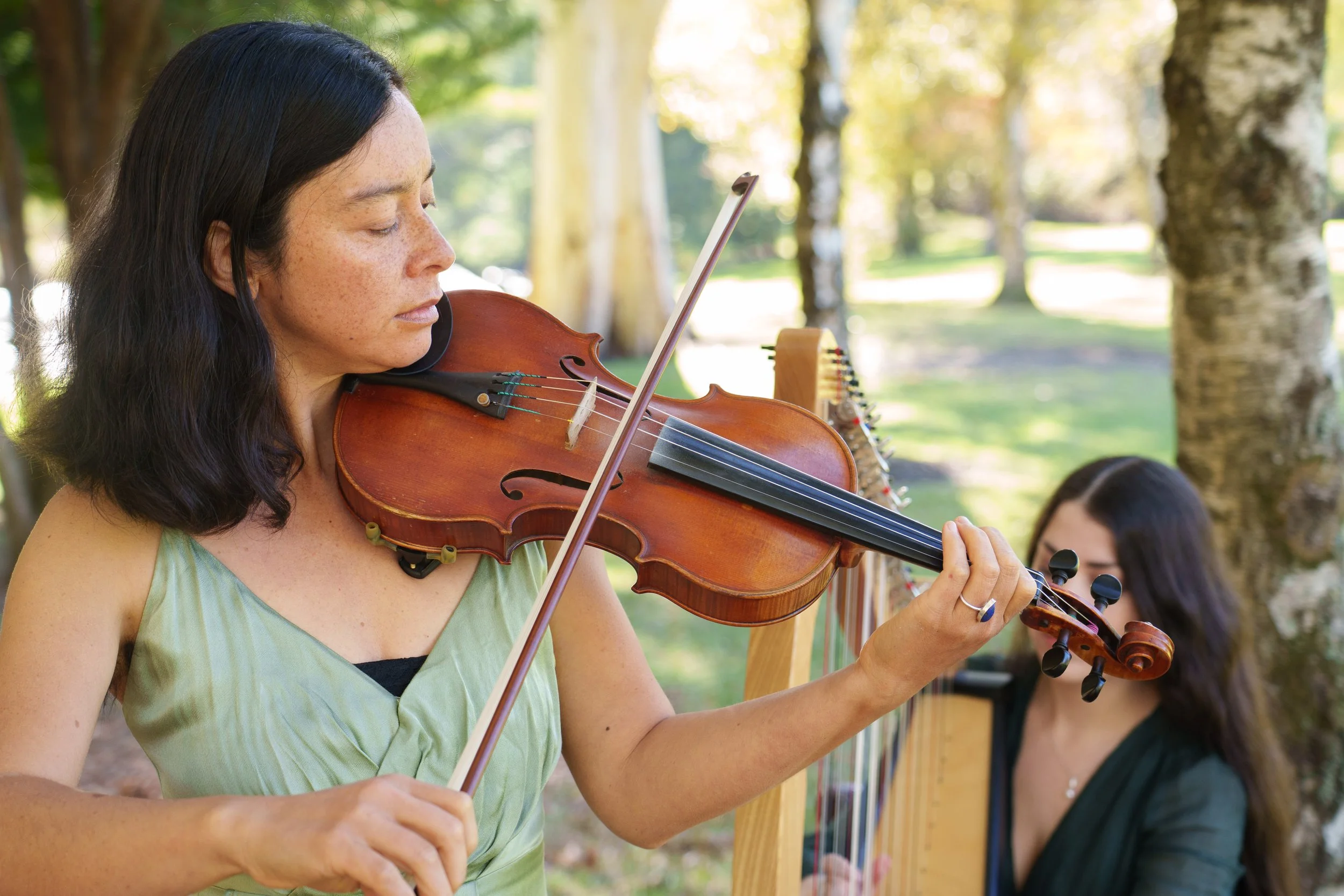 Muses of the Valley - High res web-6.jpg