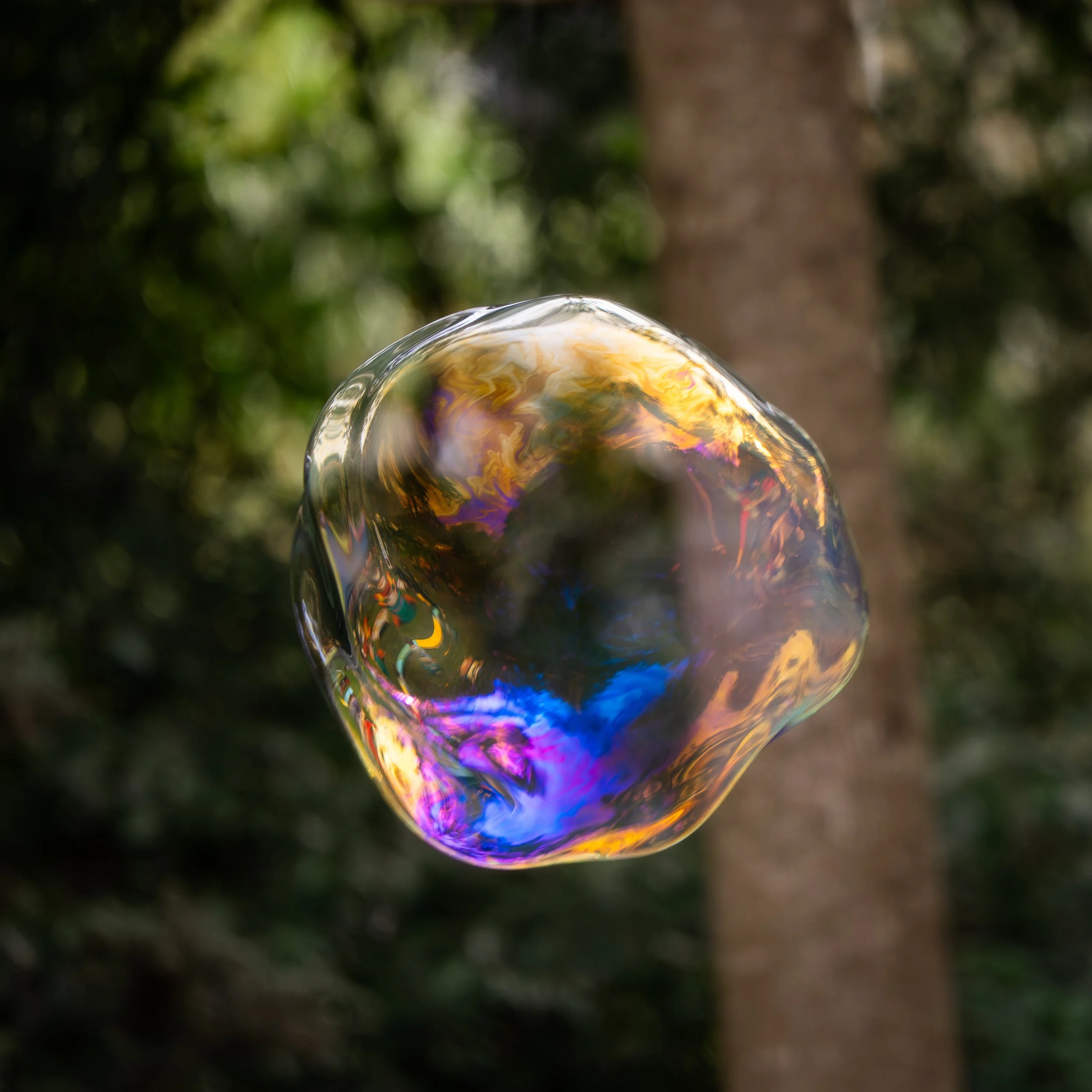 Healesville Festival-43.jpg