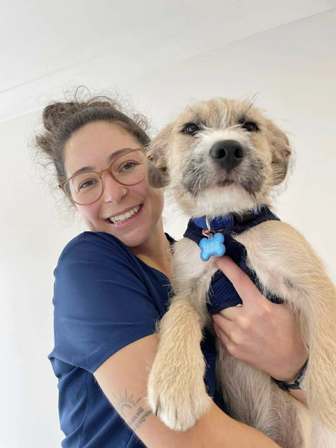 Keeping Your Pets Safe Over the Holidays: 7 Golden Rules