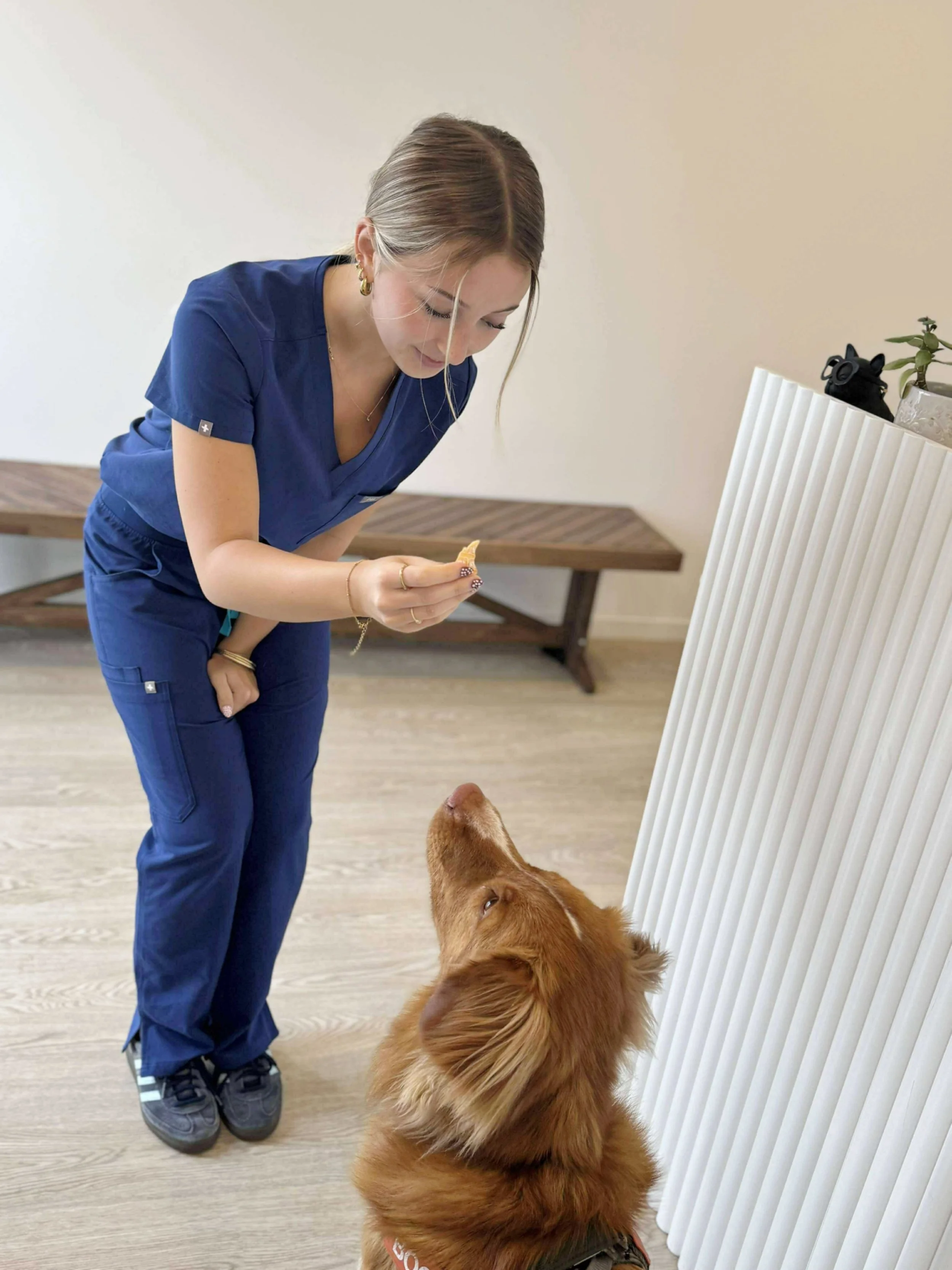 Feeding From the Table? Let’s Talk Table Scraps and Calories