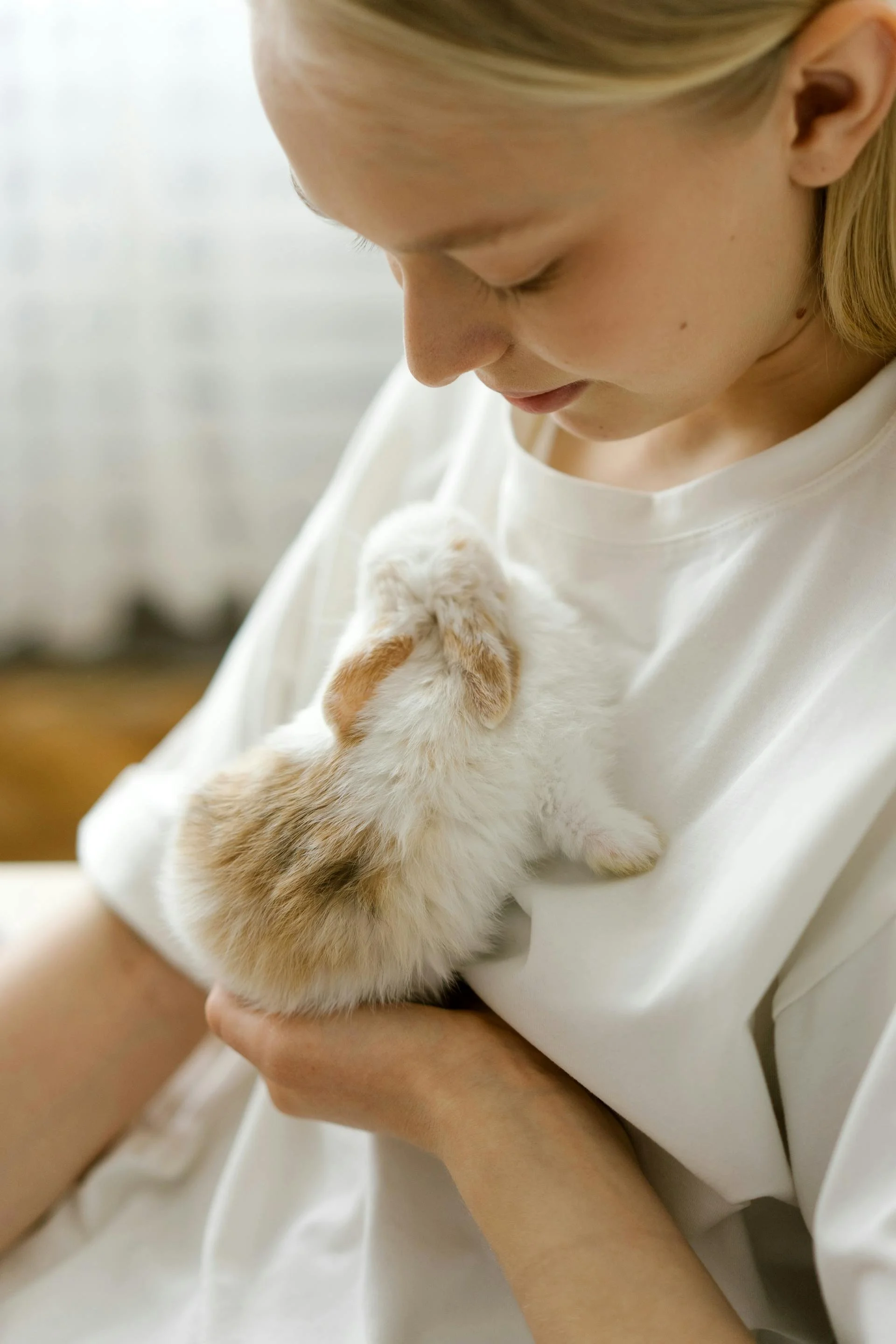 Considering a Pet Rabbit? Read This First