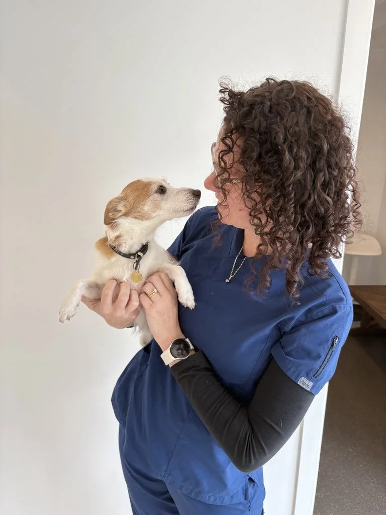 Bird Flu Has Reached Mainland Australia: What Pet Owners Need to Know