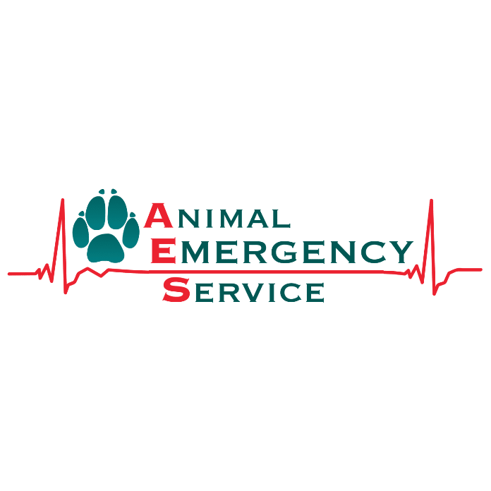 AES-logo-square.png