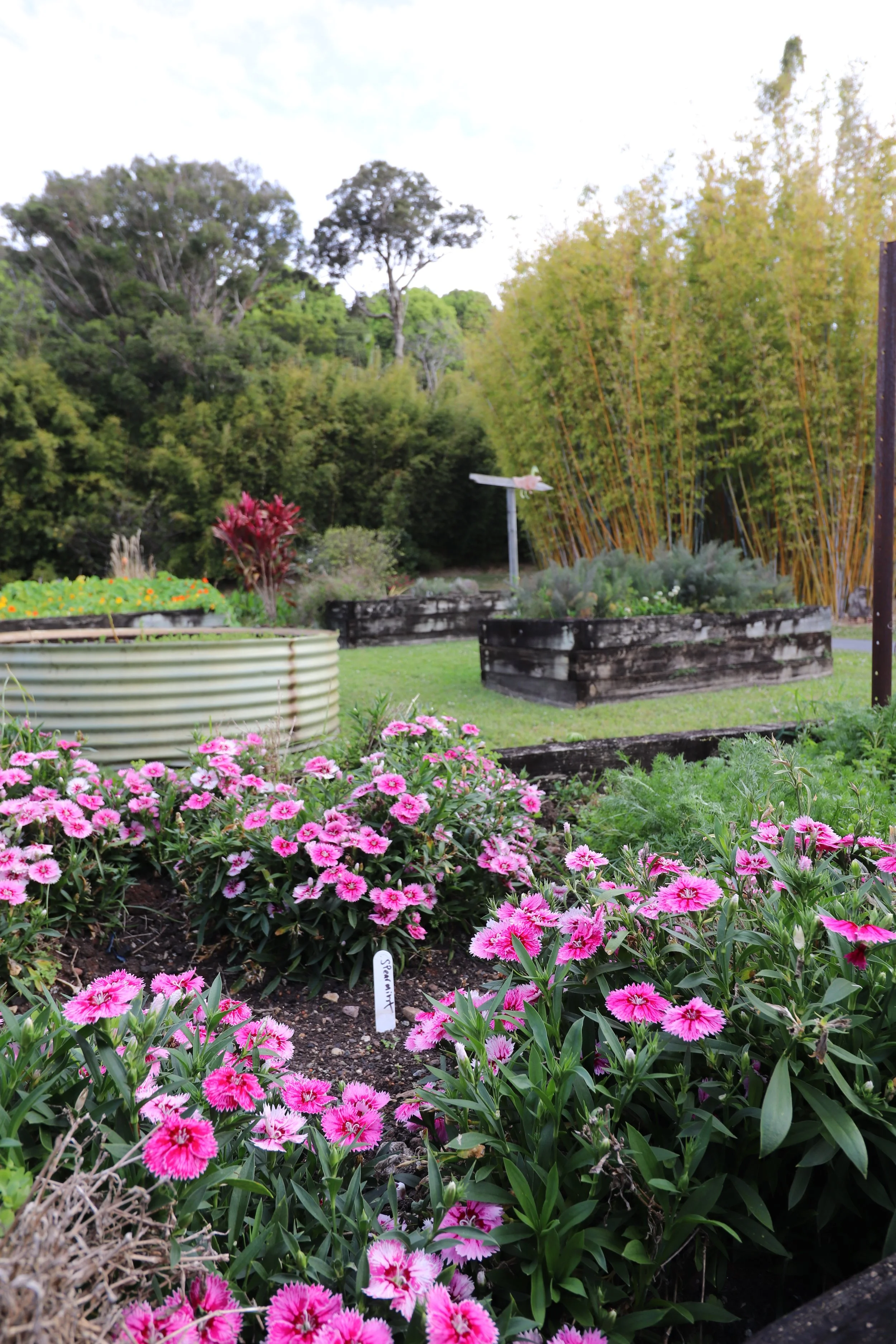 Spring at Potager: Fresh Flavours, New Beginnings