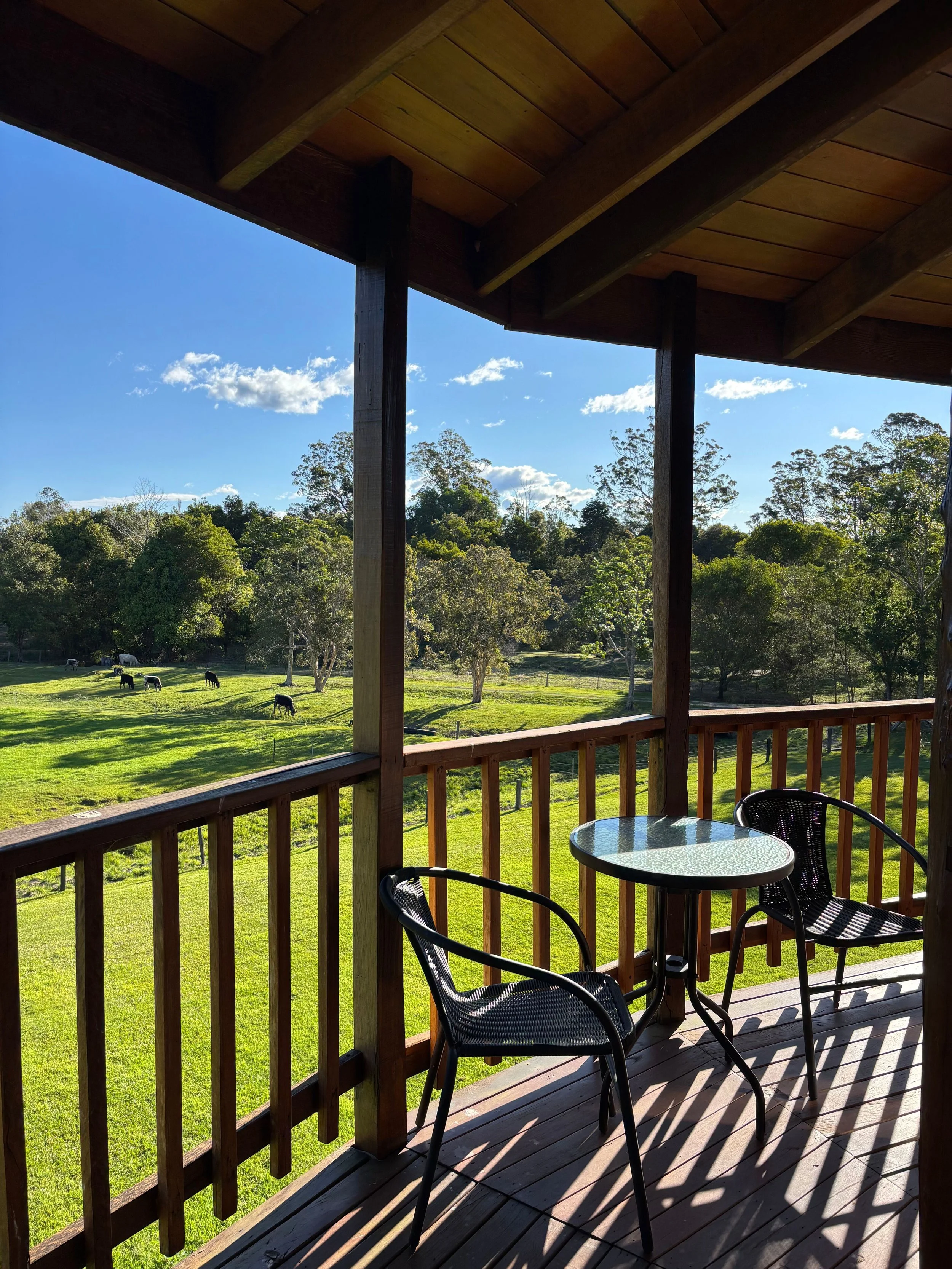 Spring at Bellingdale Farm: A Season of Fresh Beginnings