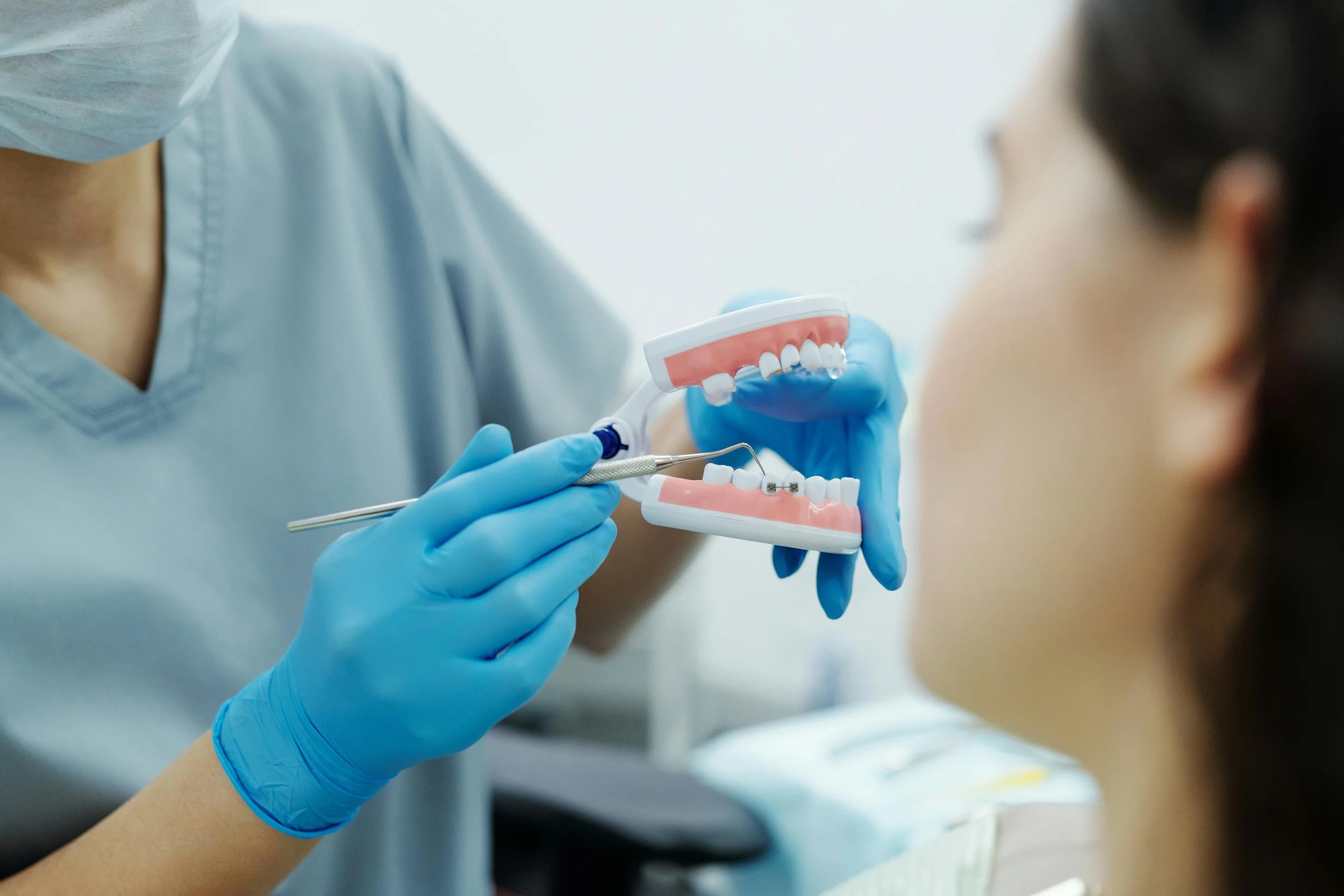 Orthodontic consultation at Arena Dental – dentist showing braces on a teeth model to female patient.