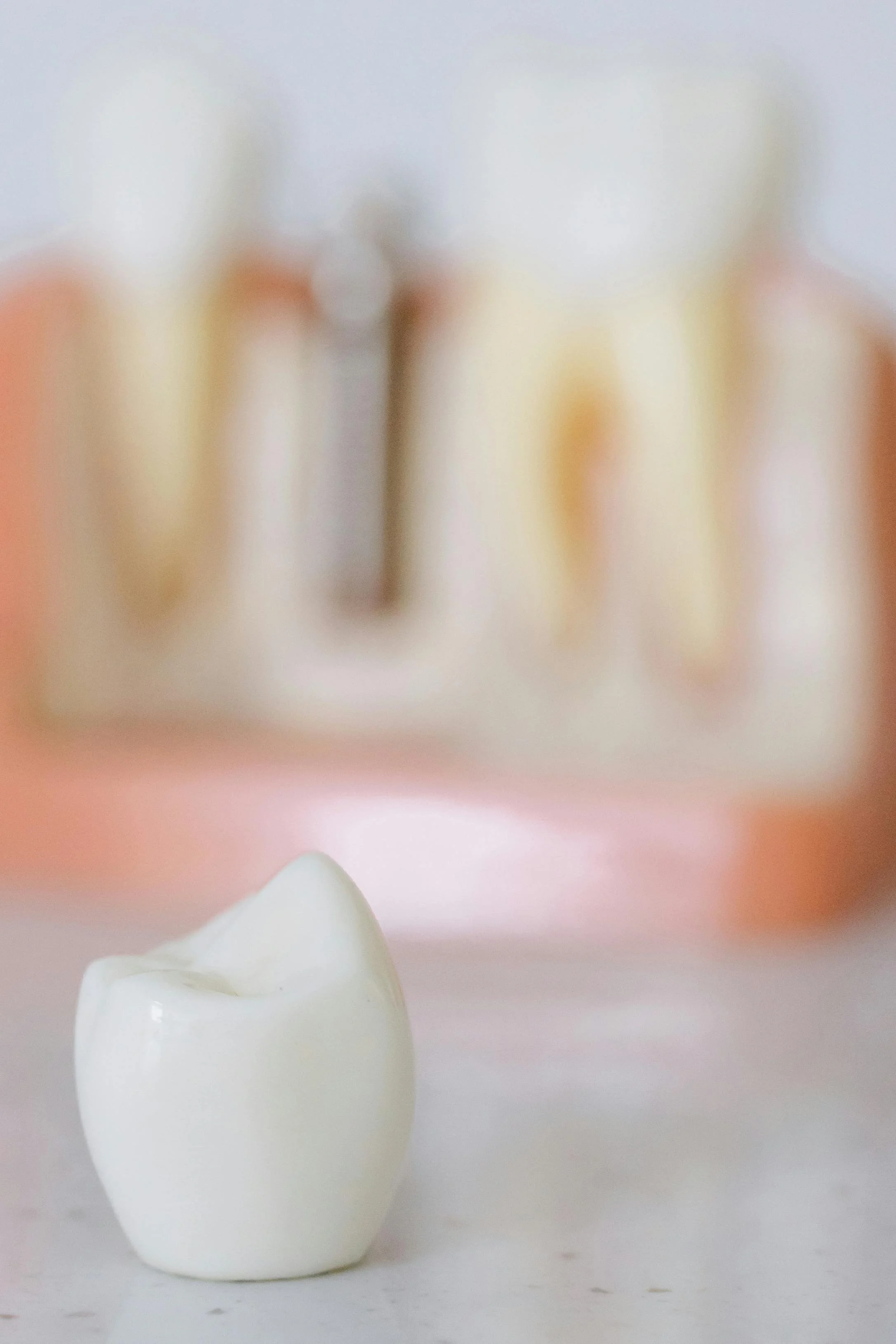 Close up of single tooth on a table