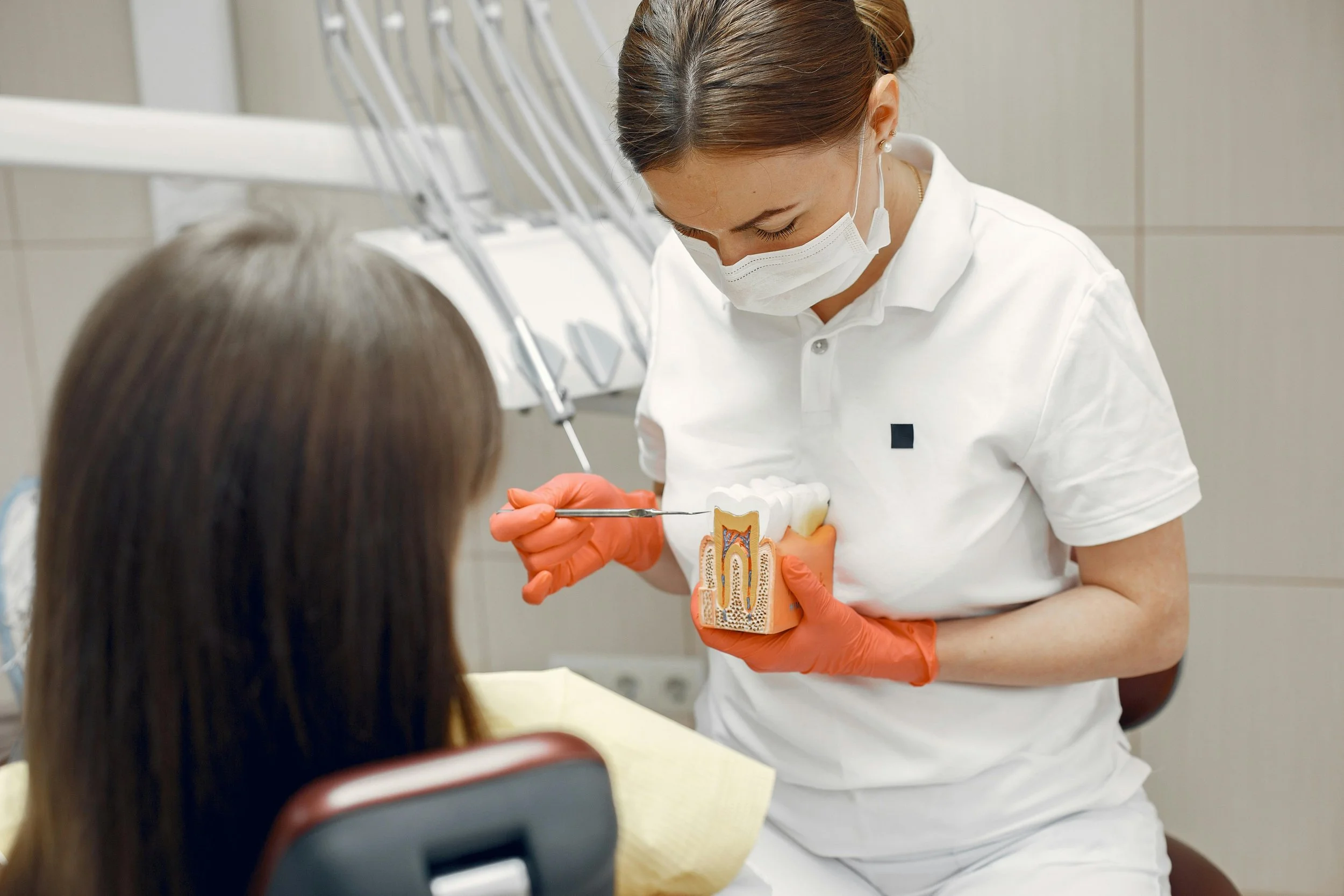 Dentist showing dental procedure using a dental model.